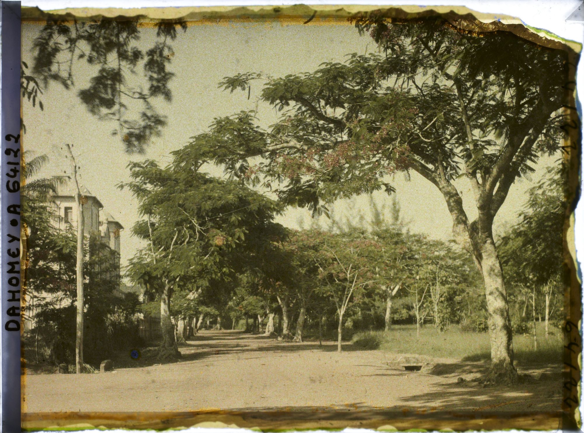 Image représentant Une allée de la Résidence du gouverneur
