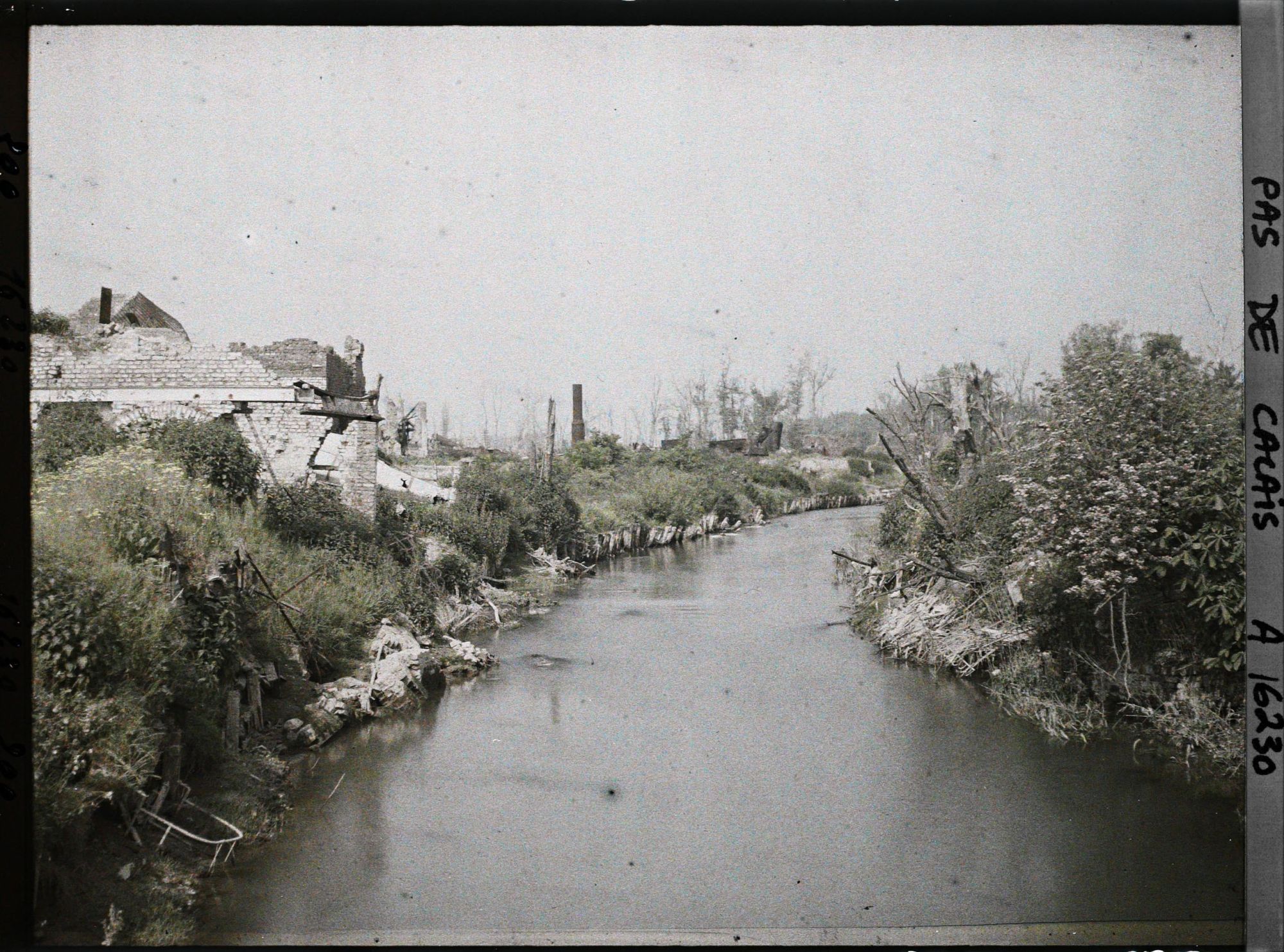Image représentant France, Blangy, Les bords de la Scarpe à Blangy