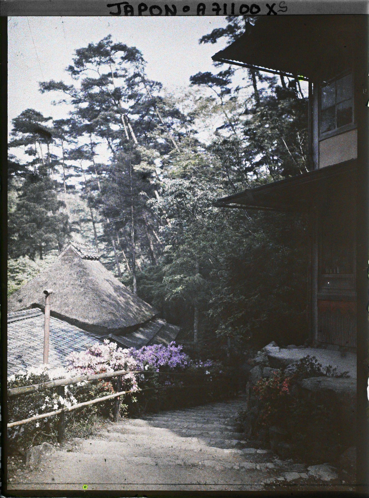 Image représentant Escaliers bordés d'azalées du Japon