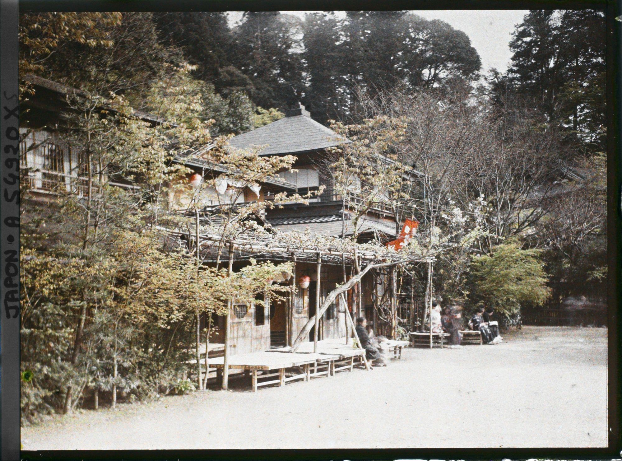 Image représentant Le parc Maruyama (Maruyama kôen)