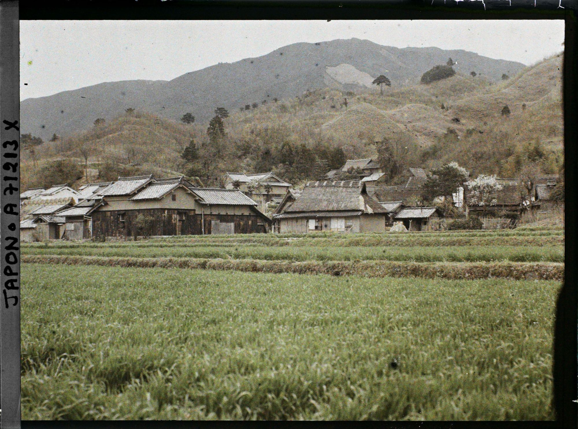 Image représentant Rizières et village sur fond de paysage escarpé