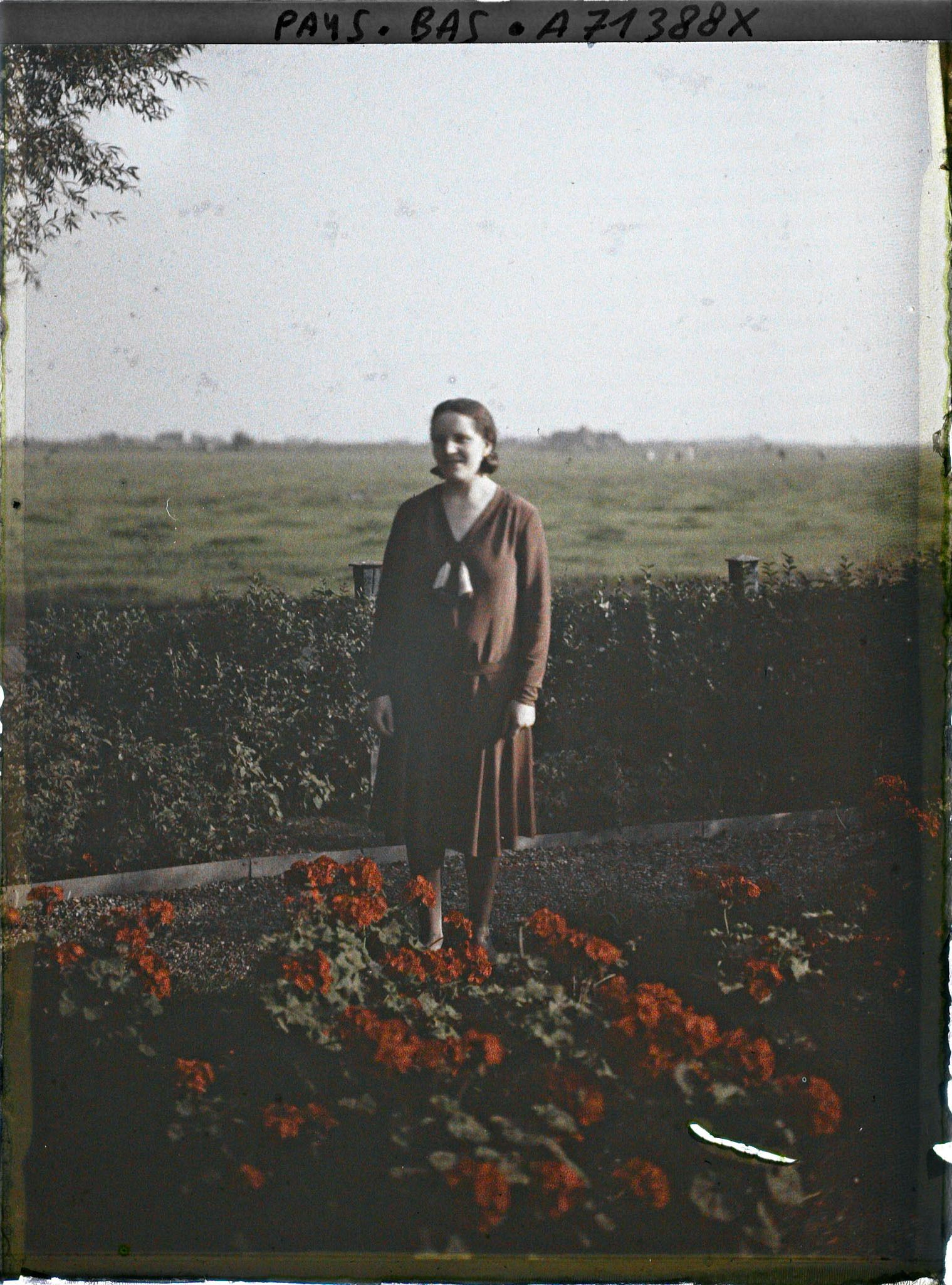 Image représentant Jeune femme dans un jardin