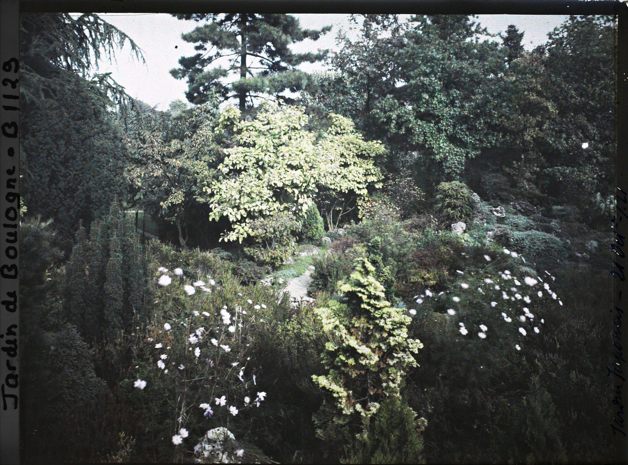 Image représentant Rocaille du " sanctuaire japonais " située entre le sorinto et le verger-roseraie