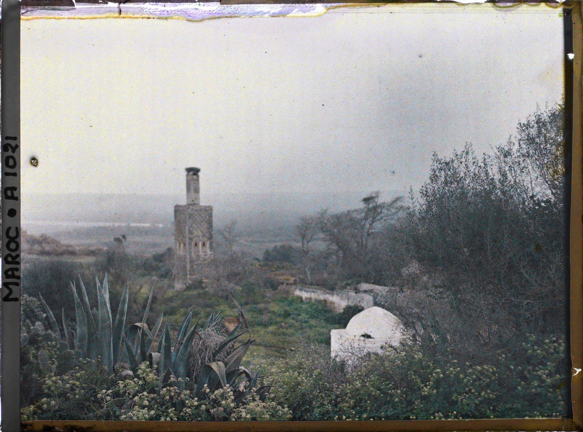 Image représentant Le Chellah