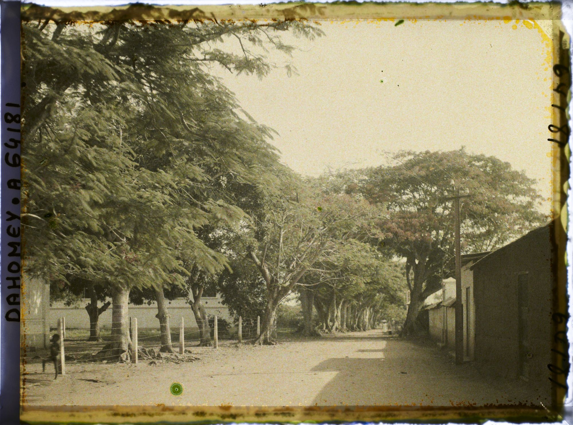 Image représentant La route de Sakété