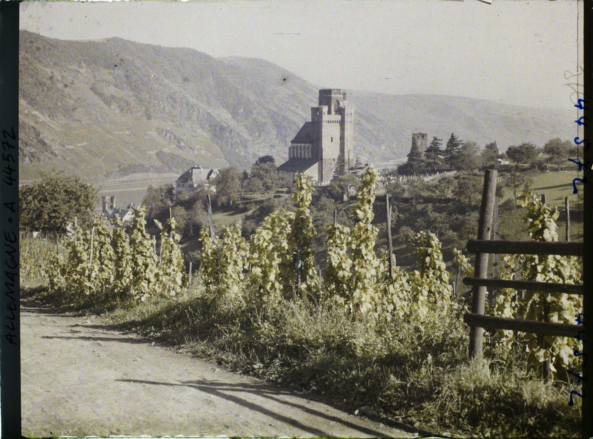 Image représentant Allemagne, Oberwesel, St Martin à travers les vignes