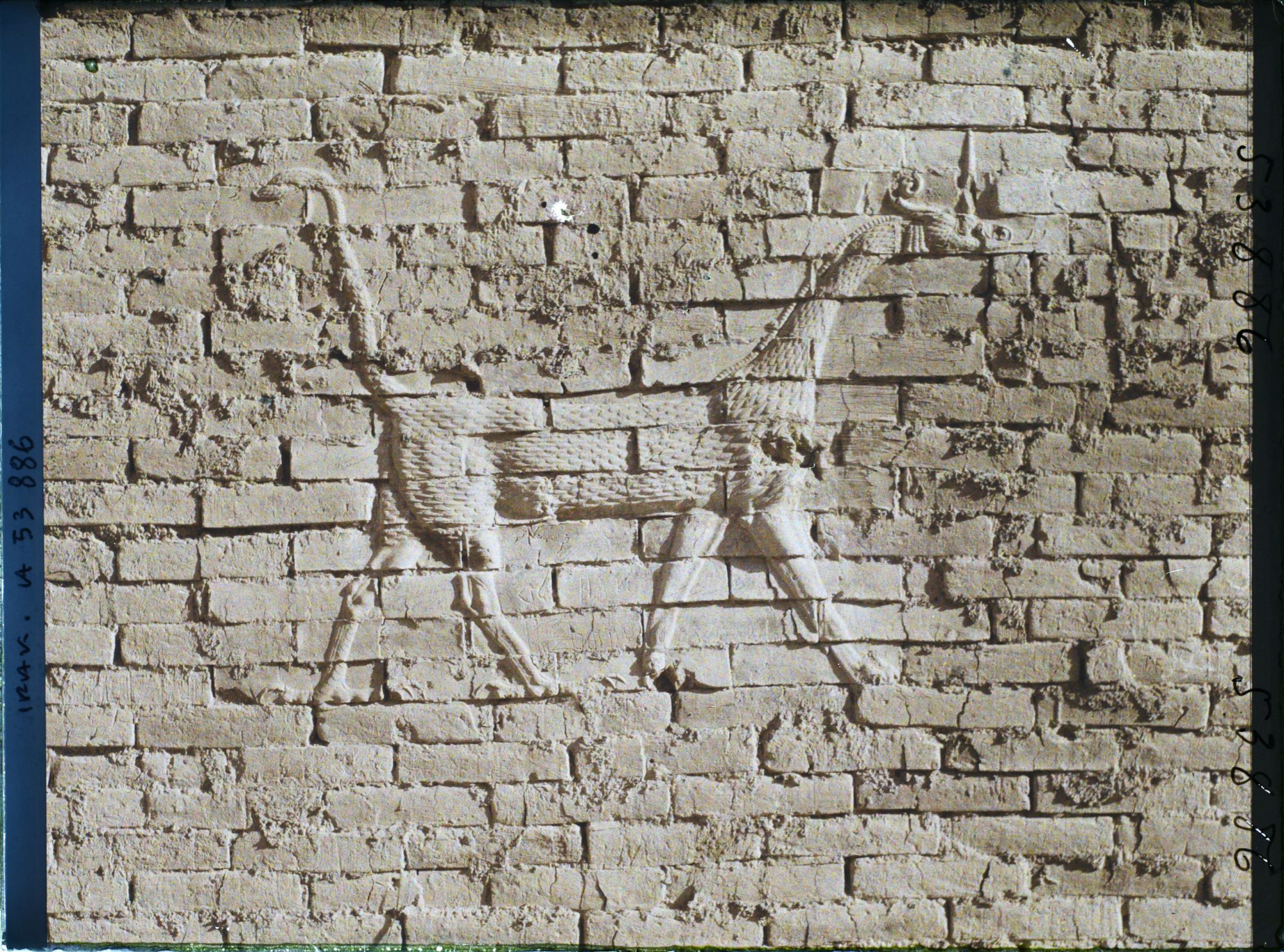 Image représentant Porte d'Ishtar : le dragon symbole de Mardouk le dieu de la ville