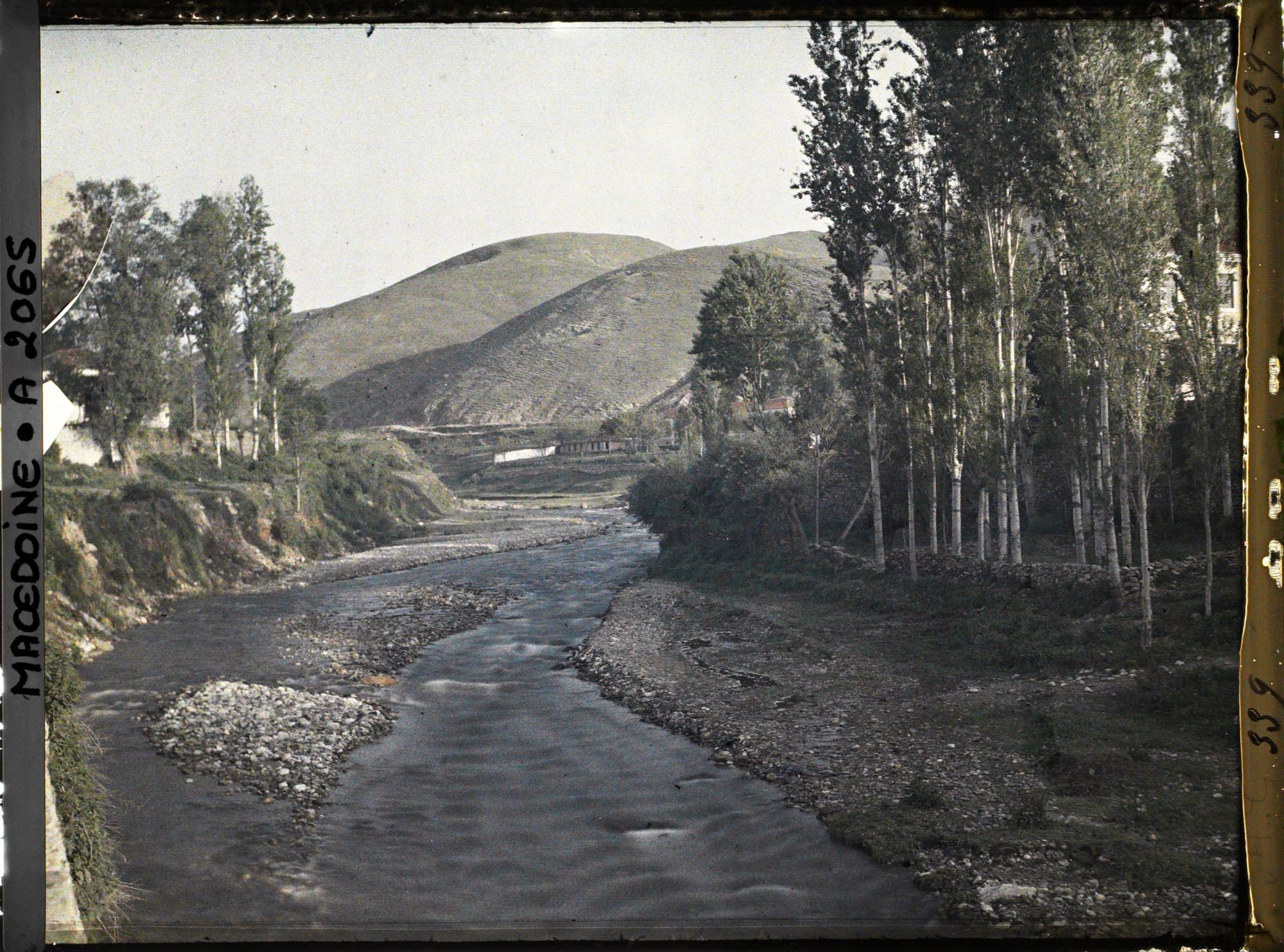 Image représentant Vue sur la rivière en amont de Bitola avec peupliers sur la droite