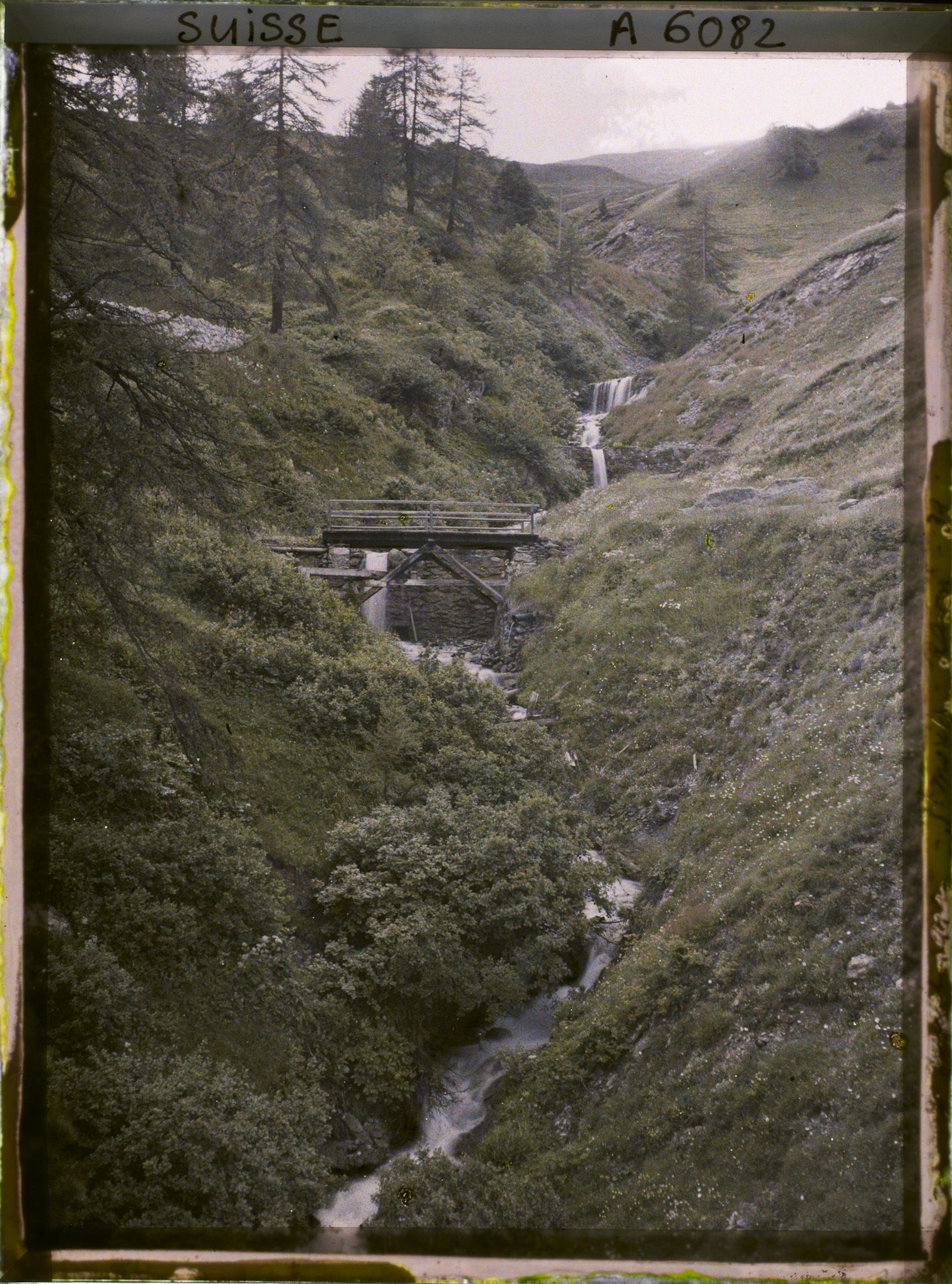 Image représentant Un ruisseau dans la région de St. Moritz