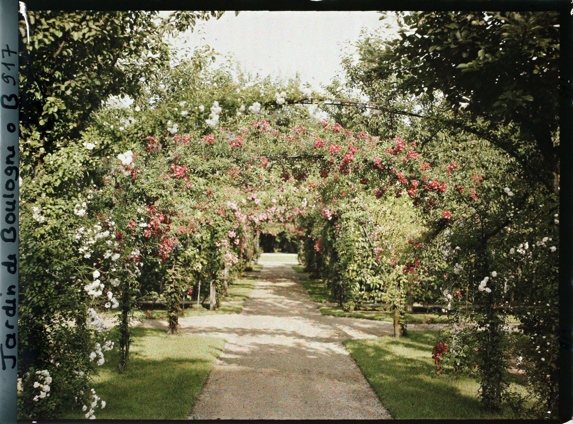 Image représentant Axe central du verger-roseraie vu en direction du jardin anglais, après le rond-point côté dépendance