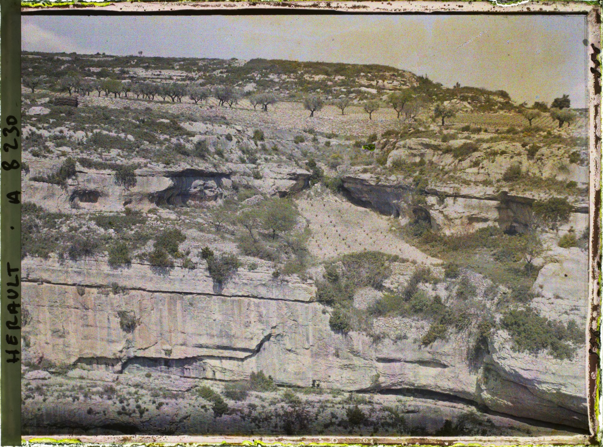 Image représentant Les gorges de la Cesse