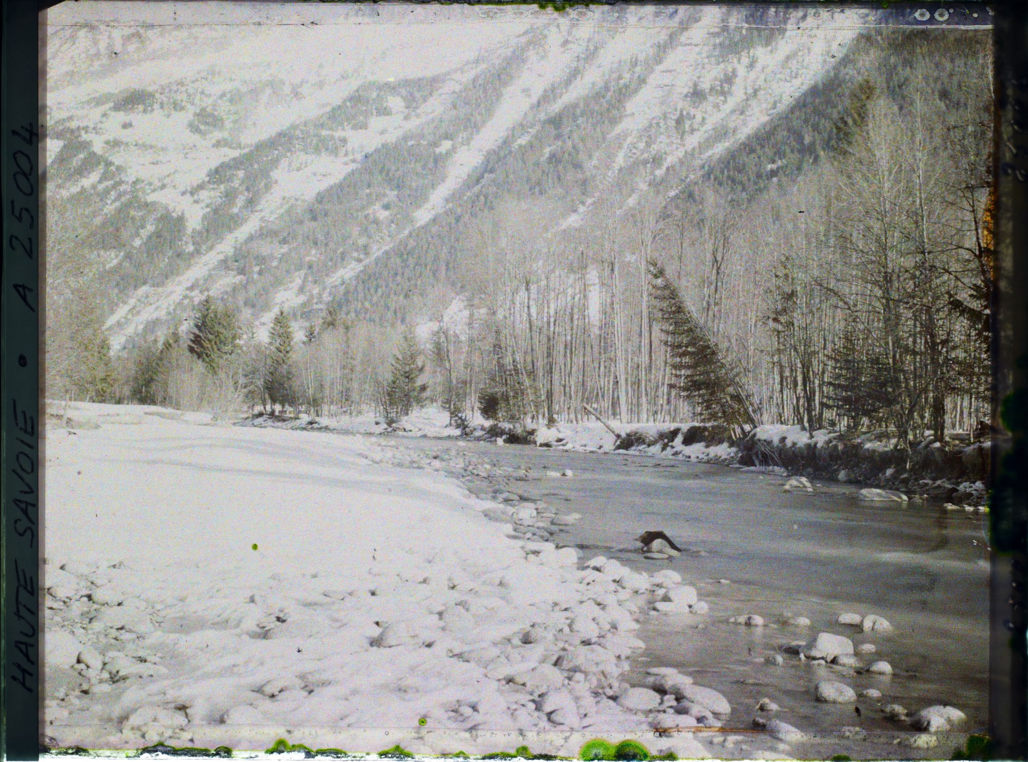 Image représentant France, Les Alpes-Vallée de Chamonix Les Rives de l'Arve en aval de Chamonix