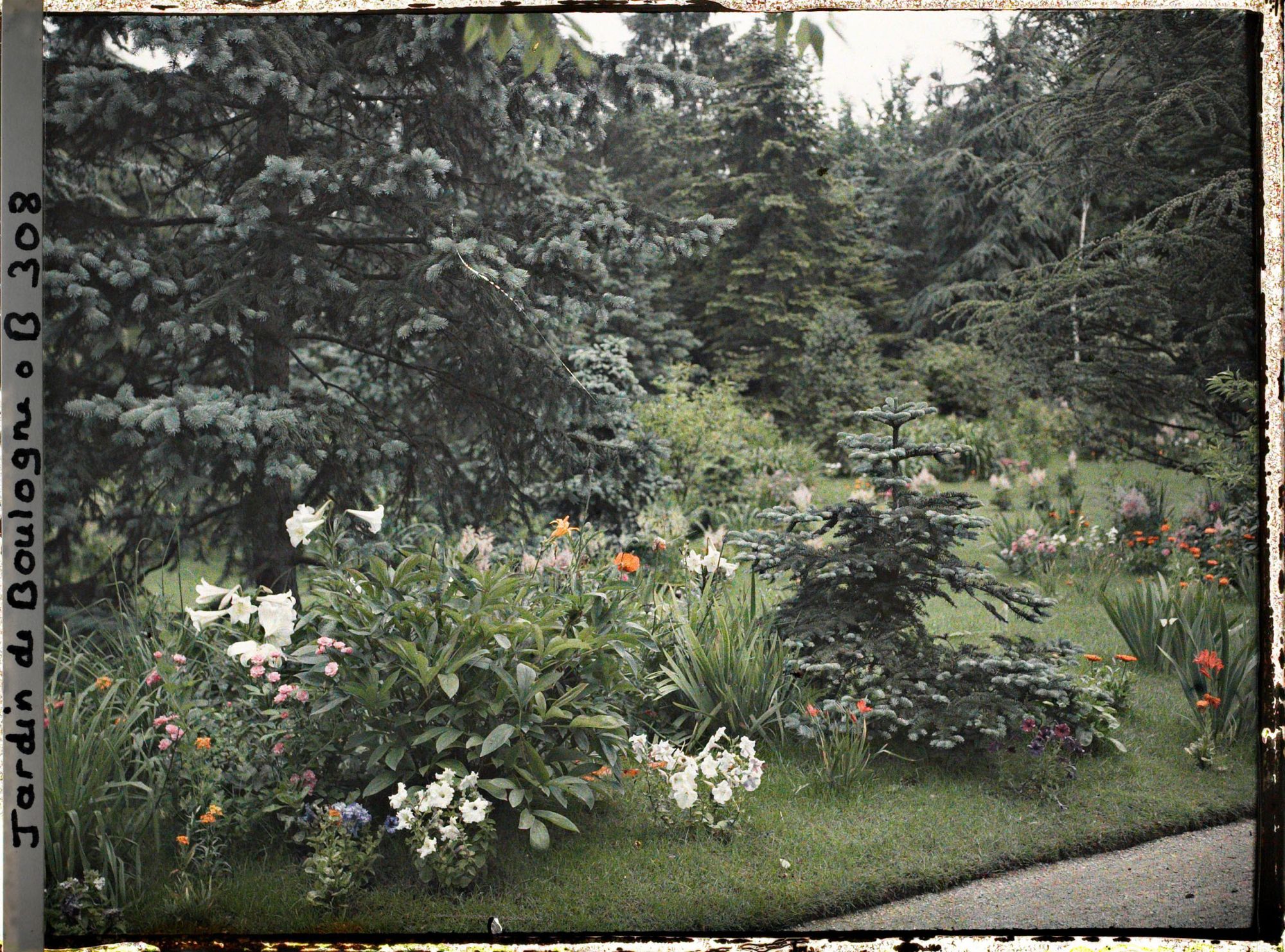 Image représentant Plate-bande fleurie longeant un chemin menant de la forêt bleue au jardin français