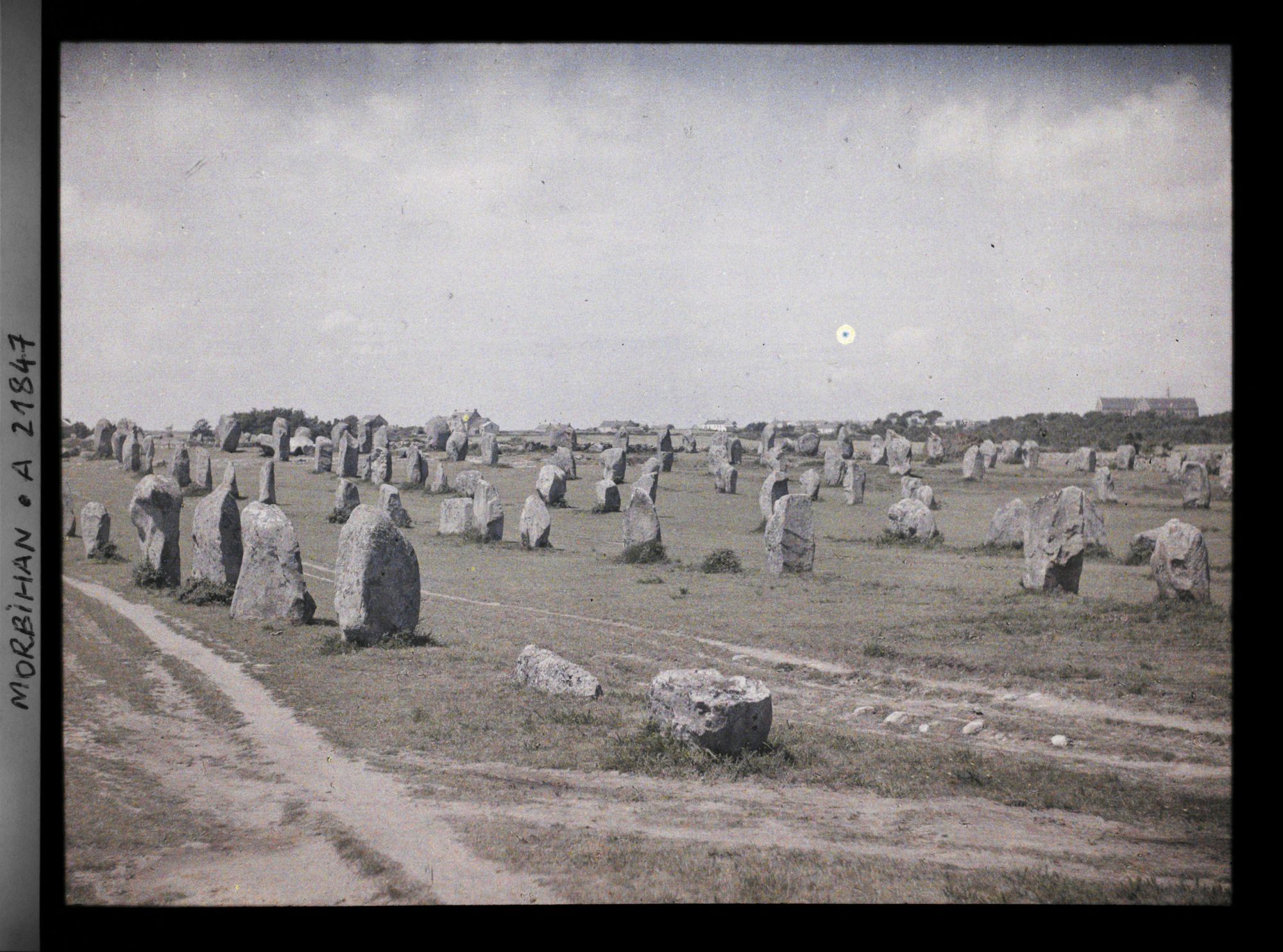 Image représentant Alignements de menhirs