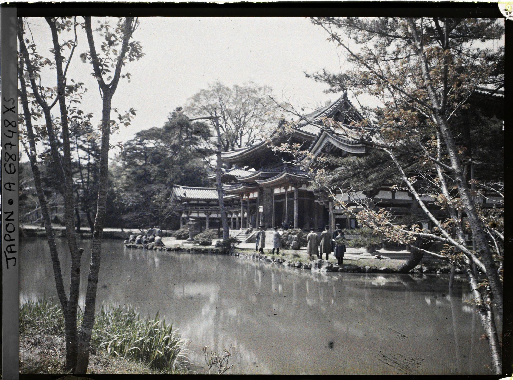 Image représentant Temple Byôdô-in : le Hôôdô (pavillon du phoenix)