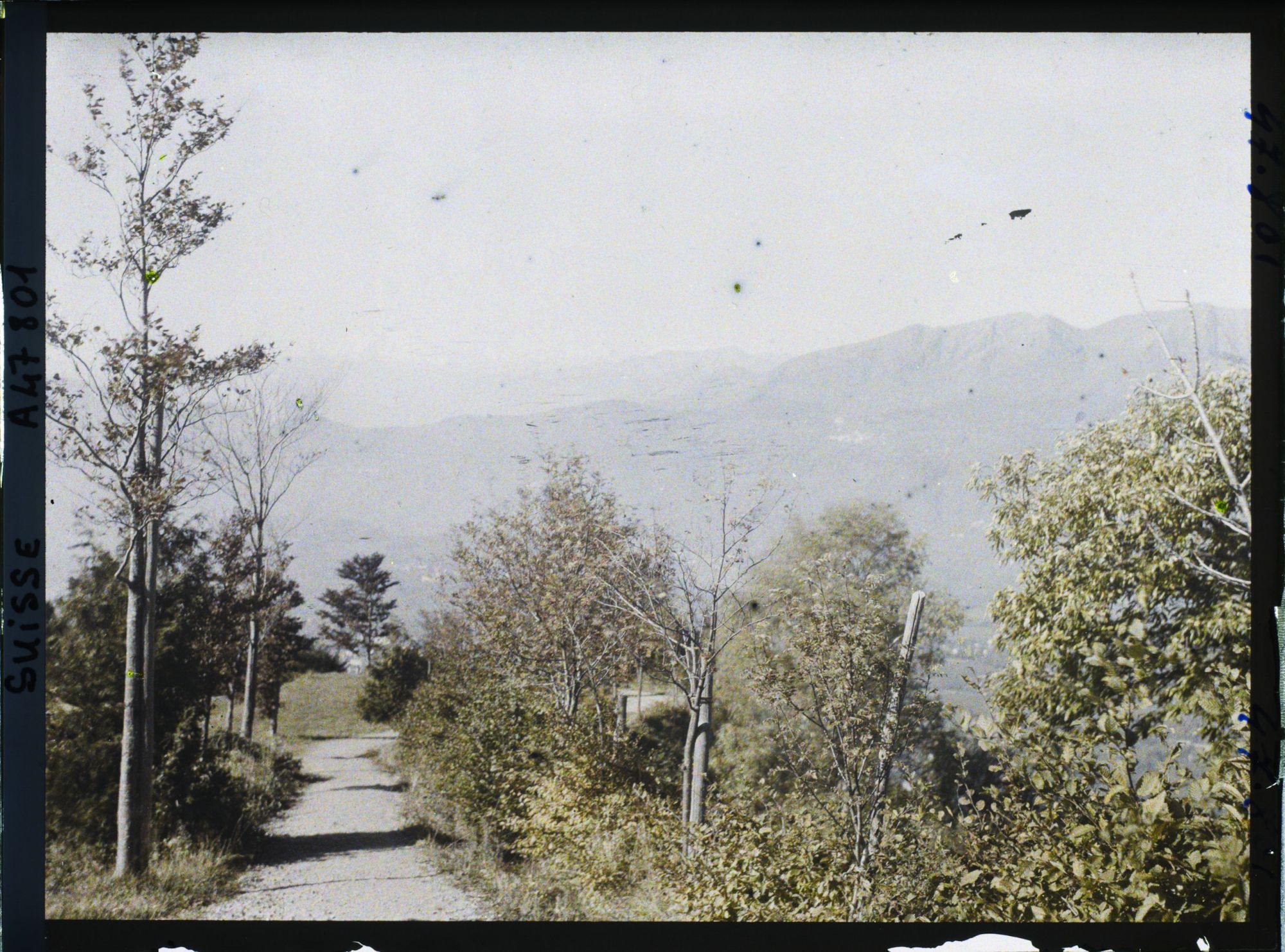 Image représentant Le chemin du Monte Brè
