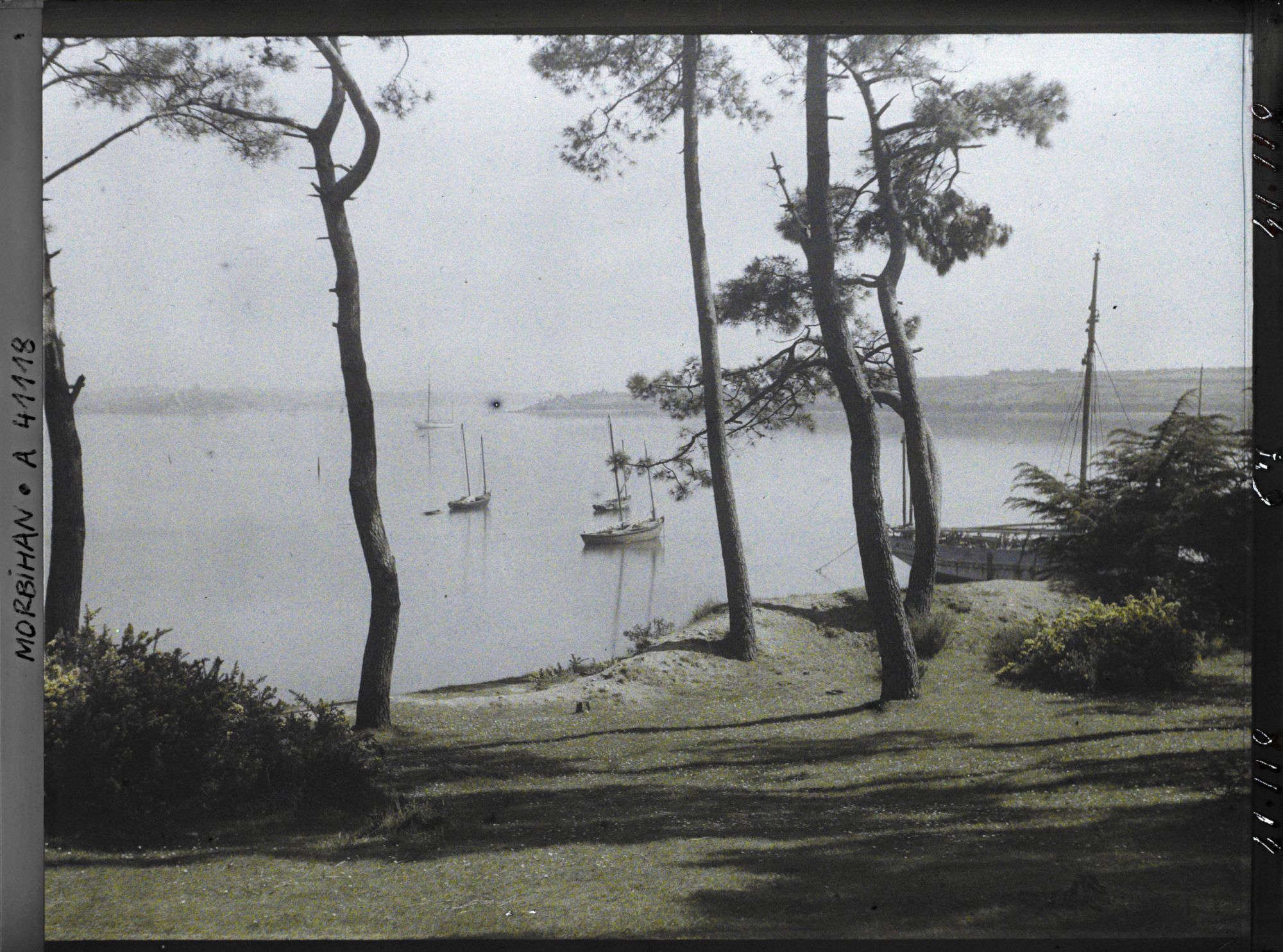 Image représentant Vue du port depuis le bois d'Amour