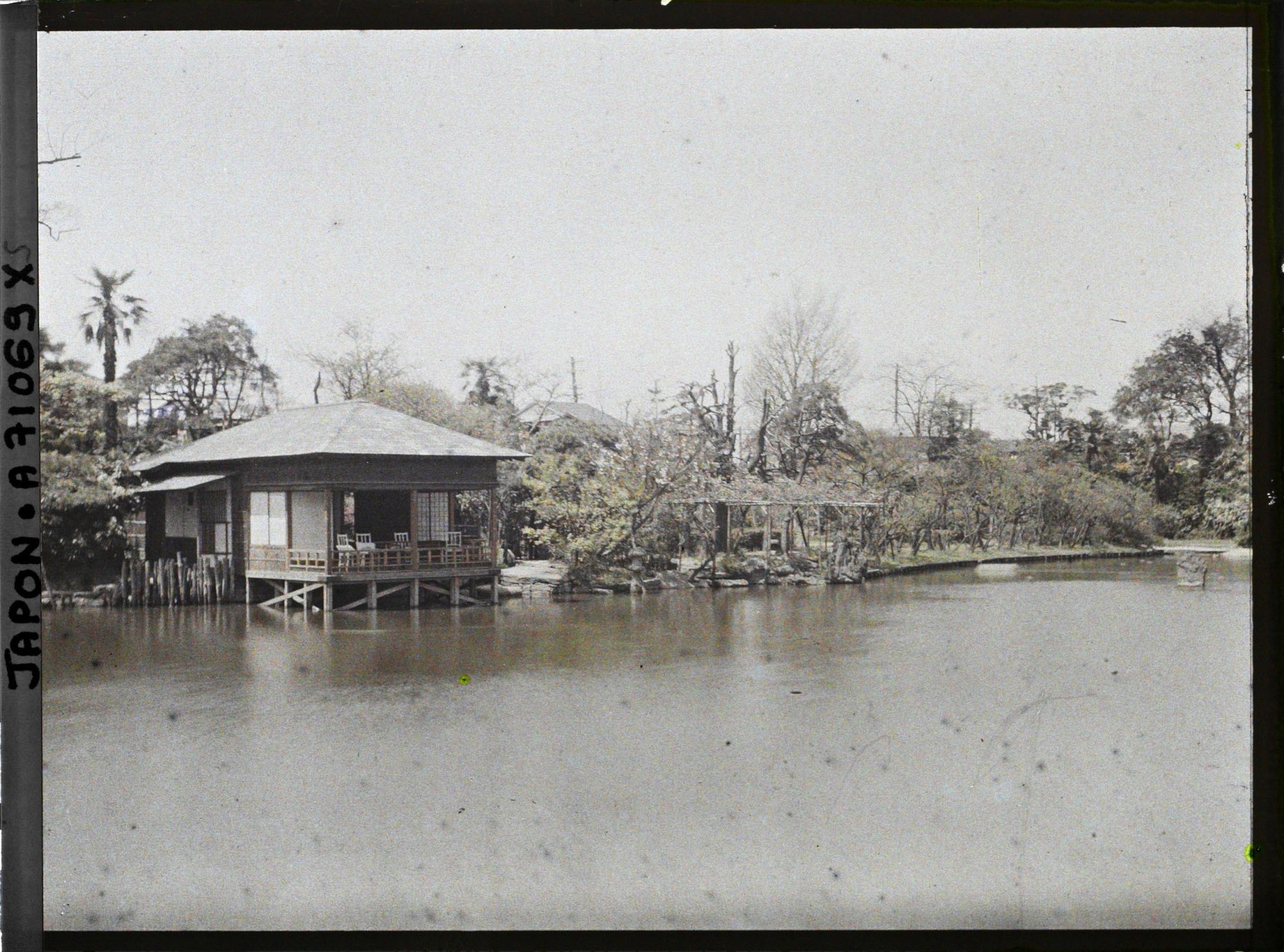 Image représentant Jardin ou parc