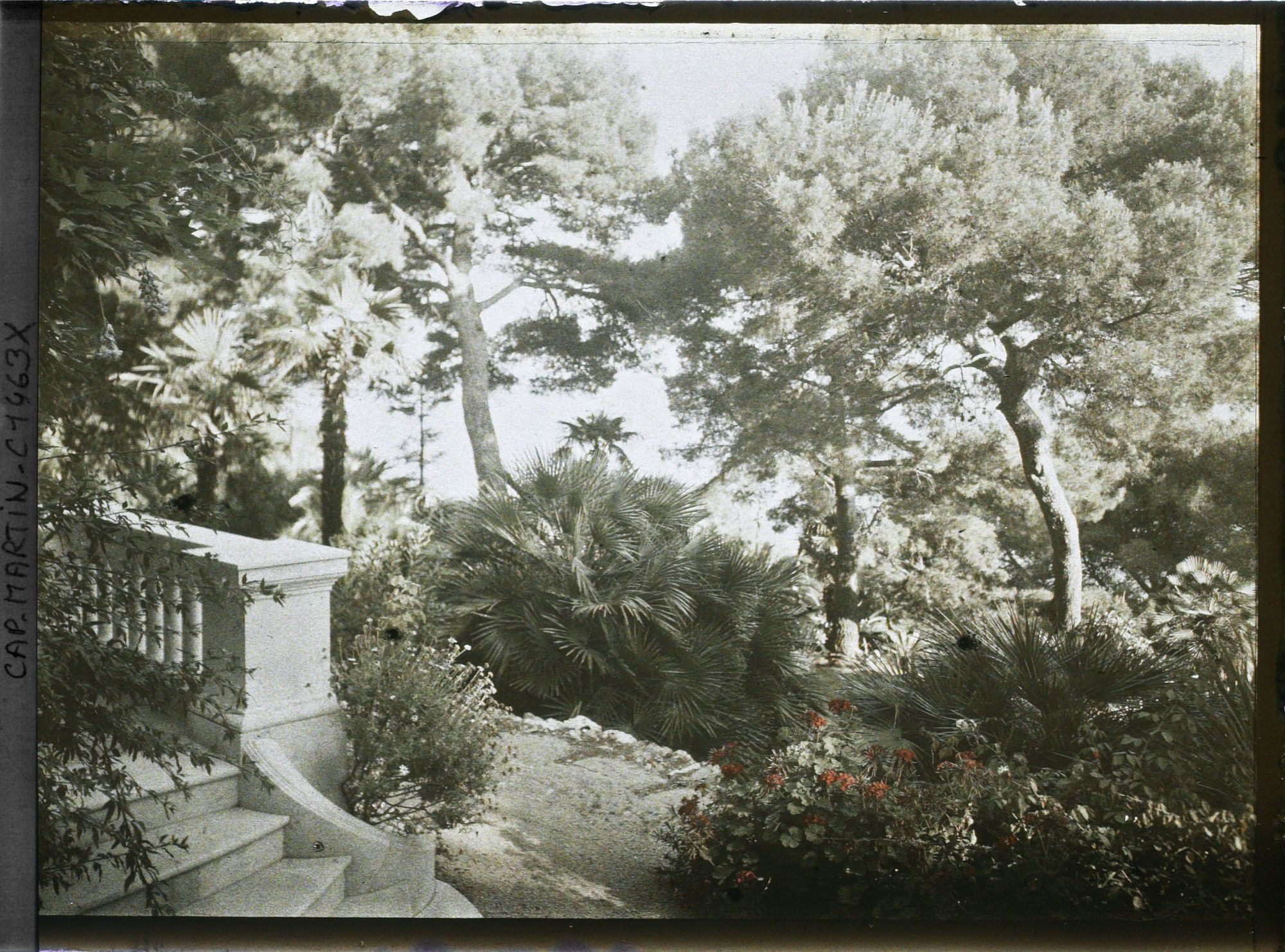 Image représentant Villa Miramar perron et escalier, vue sur le jardin vers la mer