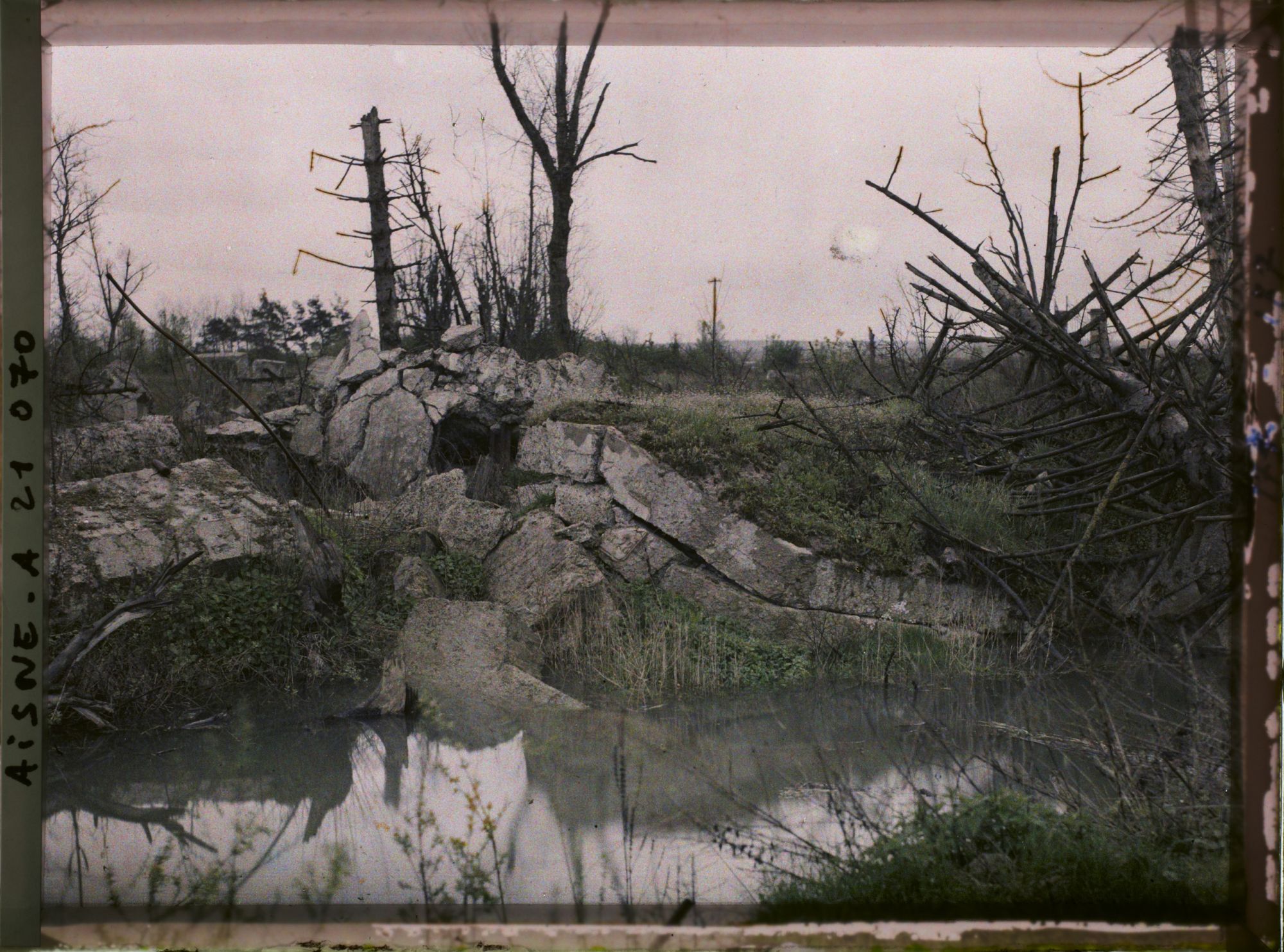 Image représentant France, Condé s/ Suippe, Rives de la Suippe