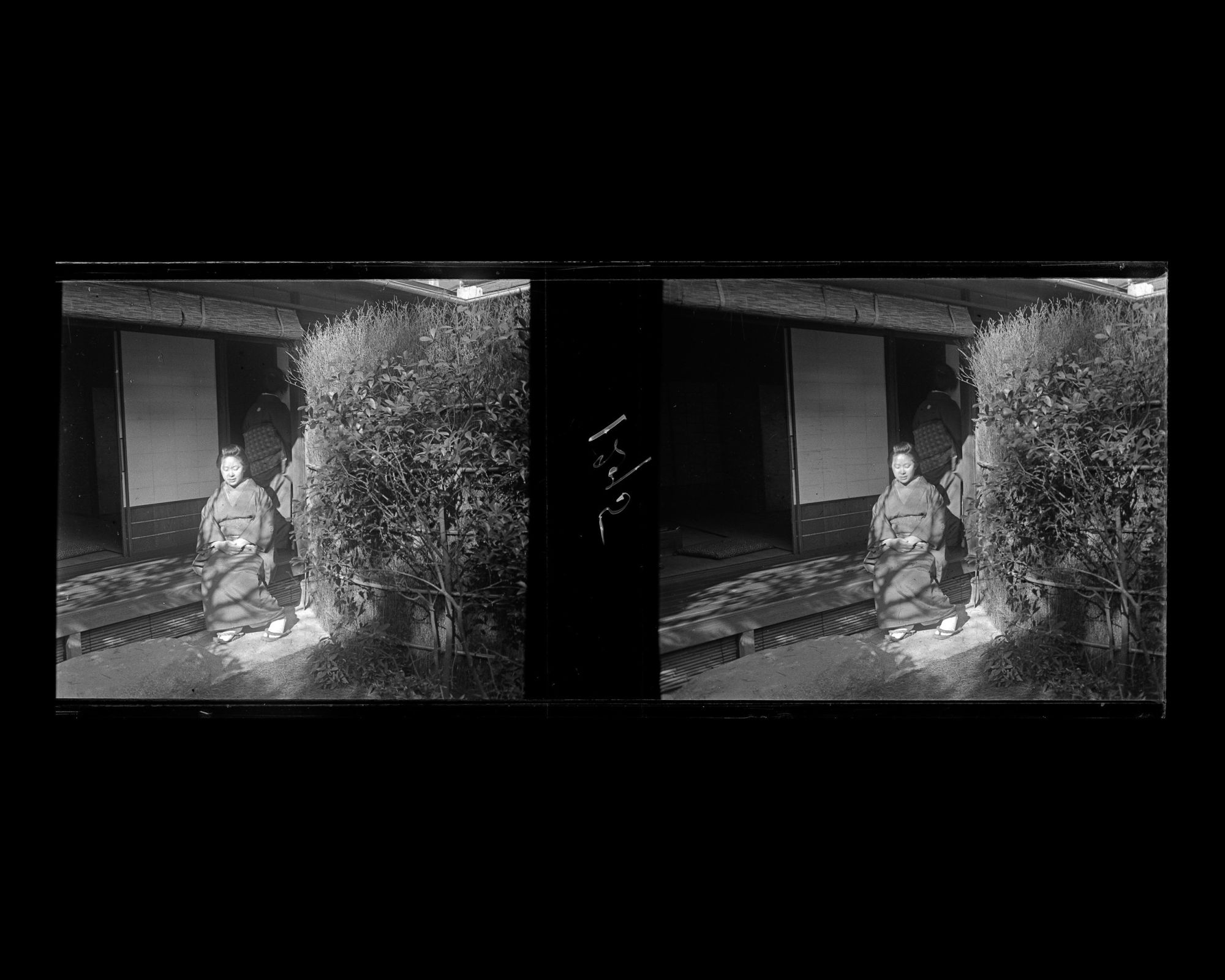 Image représentant Une geisha