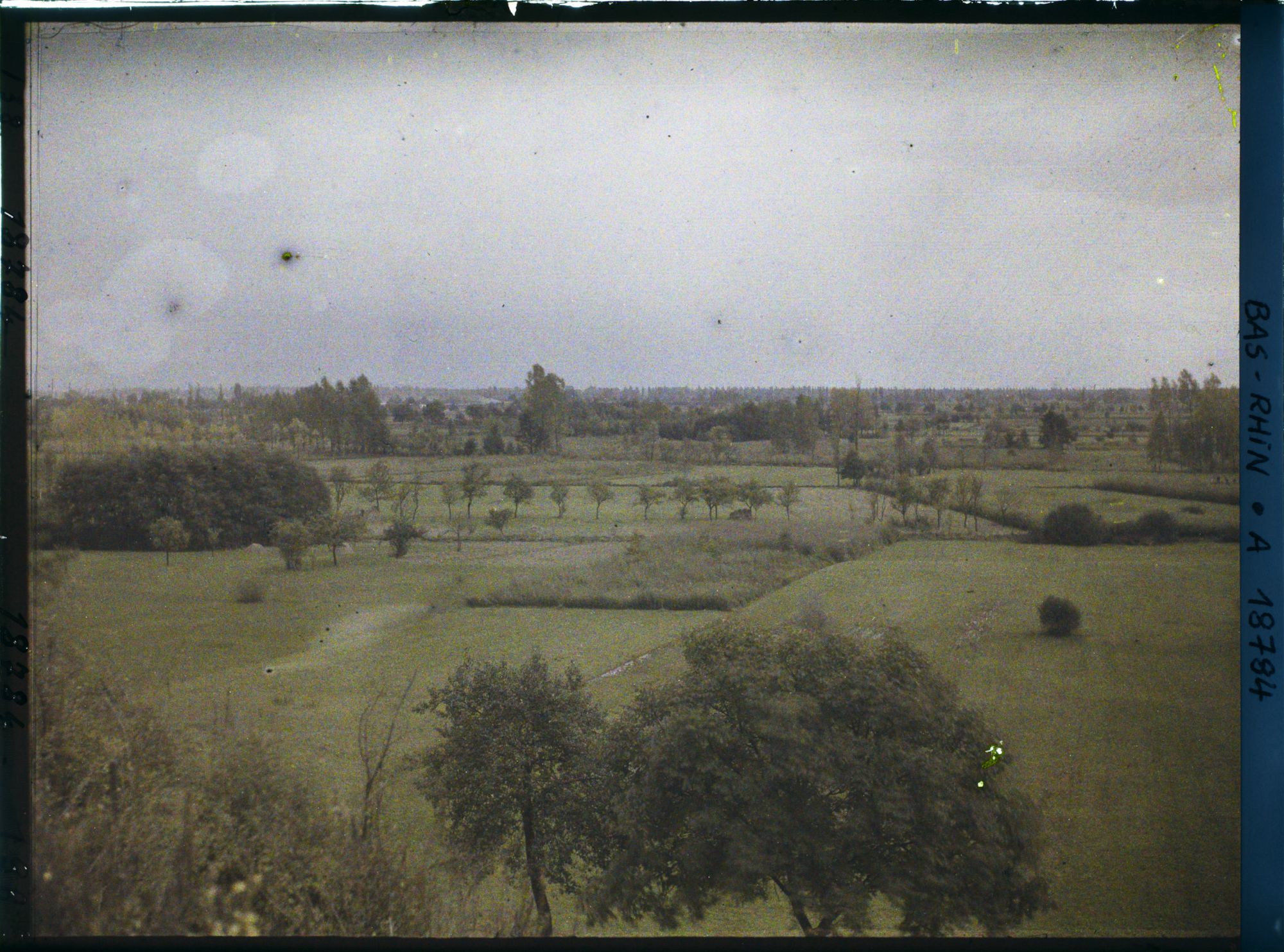Image représentant France, Scheibenhard Env. de Lauterbourg, Près de Lauterbourg, la plaine du Rhin