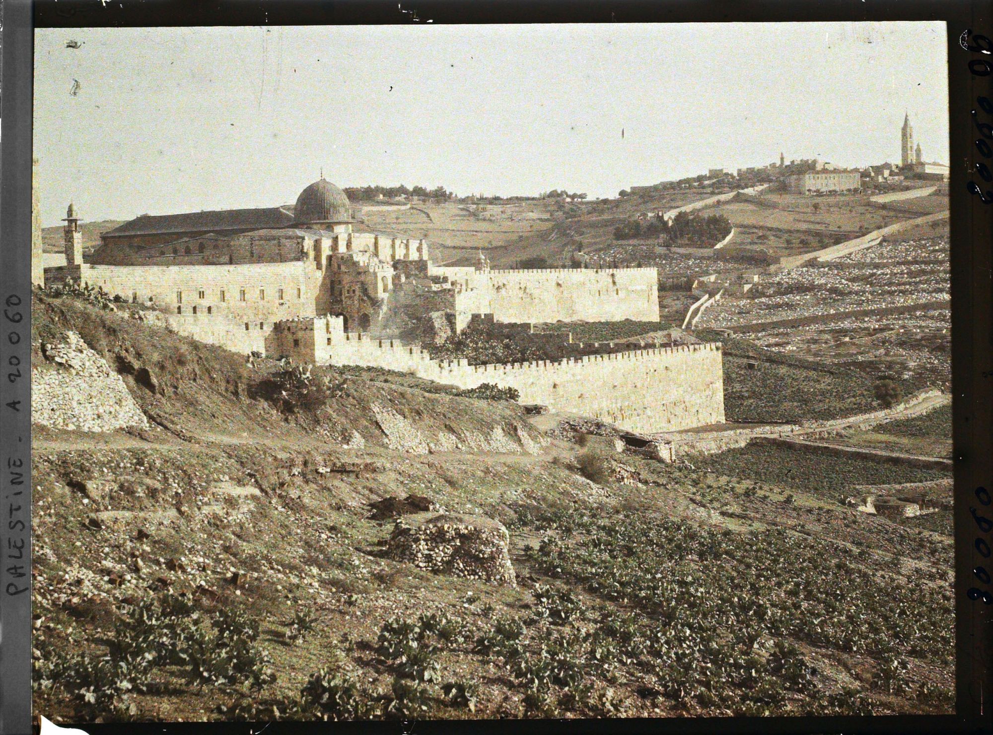 Image représentant La mosquée Al-Aksa derrière les remparts de la ville