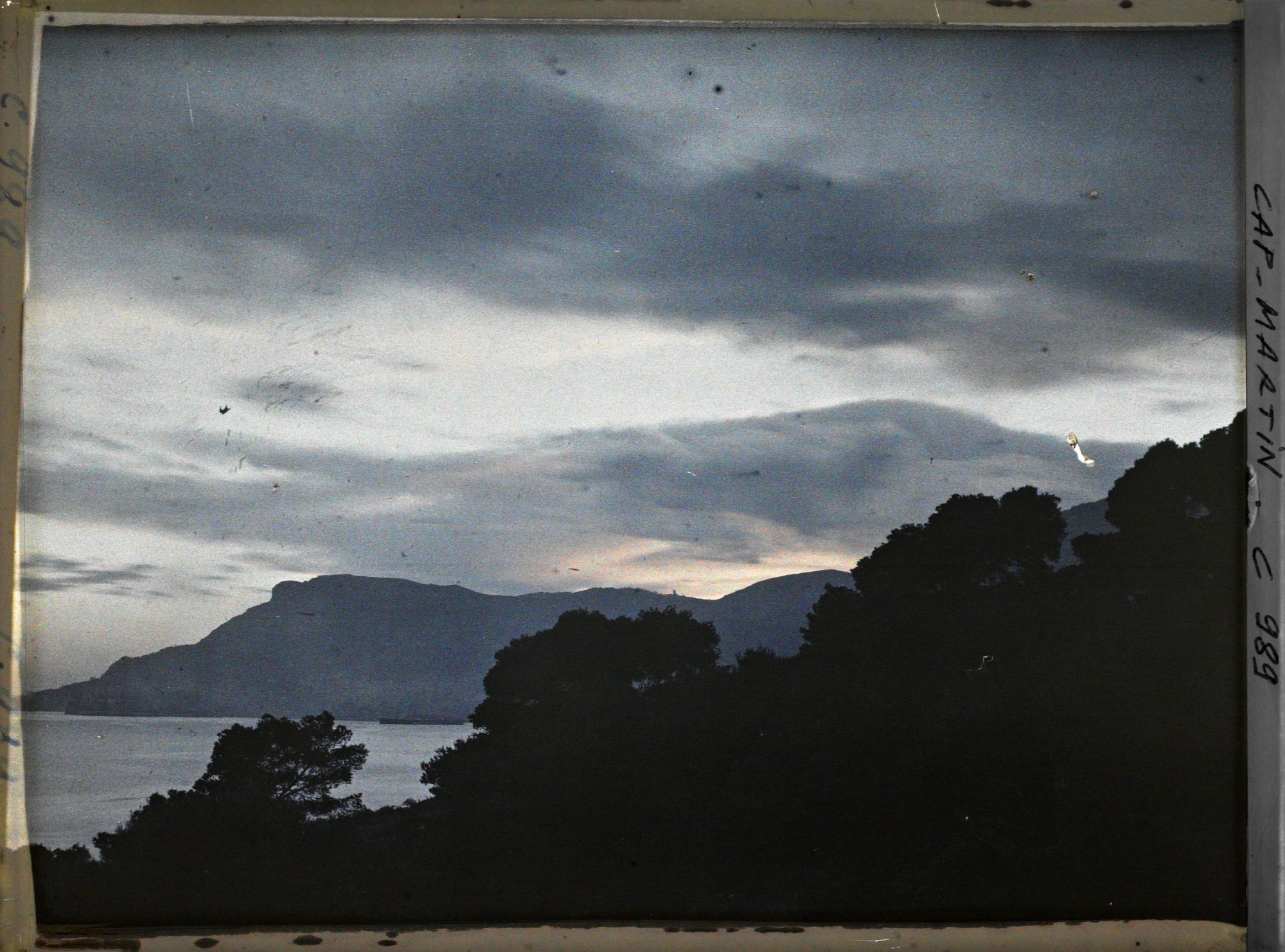 Image représentant Ligne d'arbres vue à contre-jour, en direction de Monaco, non loin de la villa Kahn dite villa Zamir