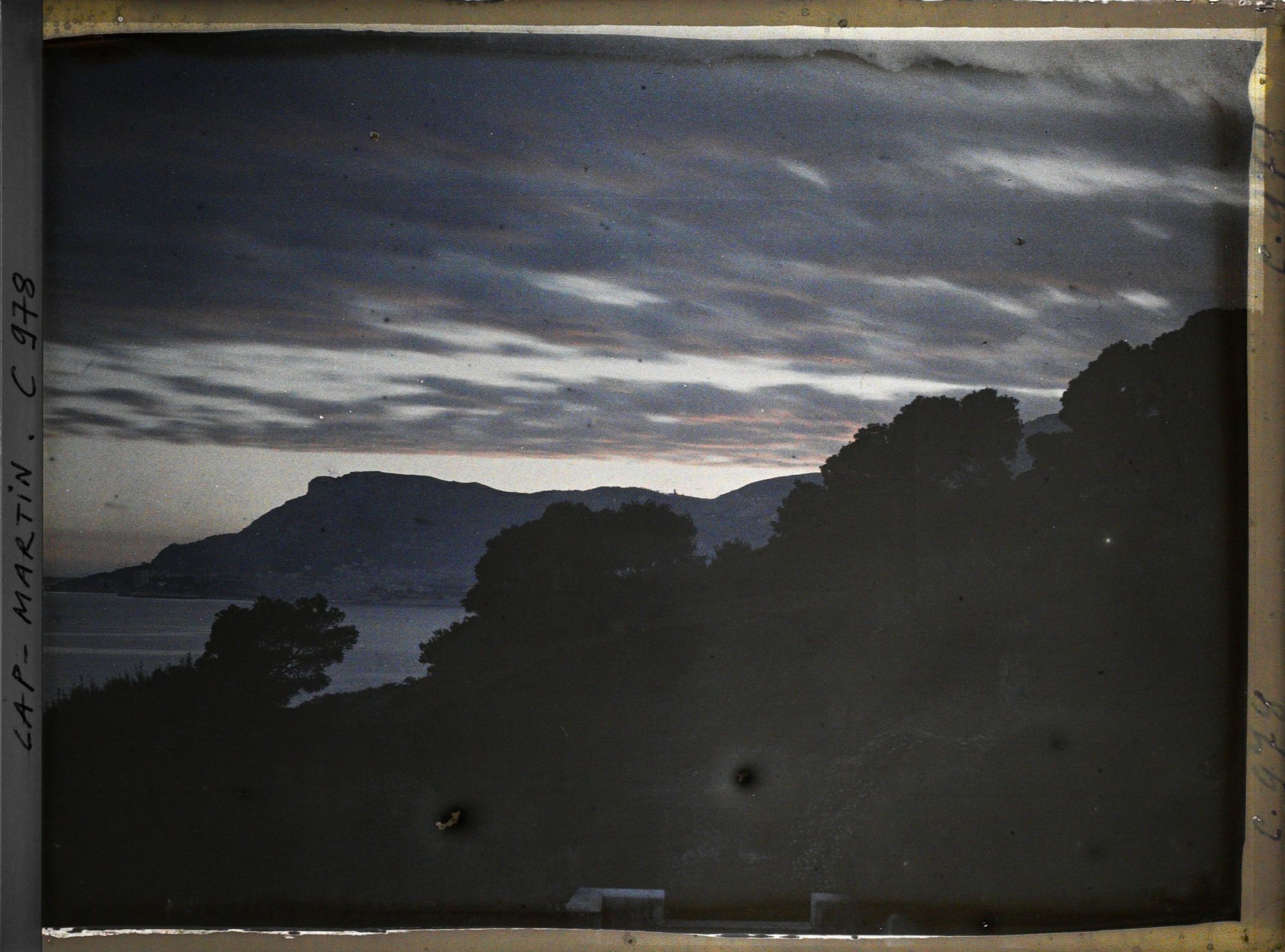 Image représentant Ligne arborée près de la villa Kahn, dite villa Zamir, se découpant à contre-jour vers Monaco