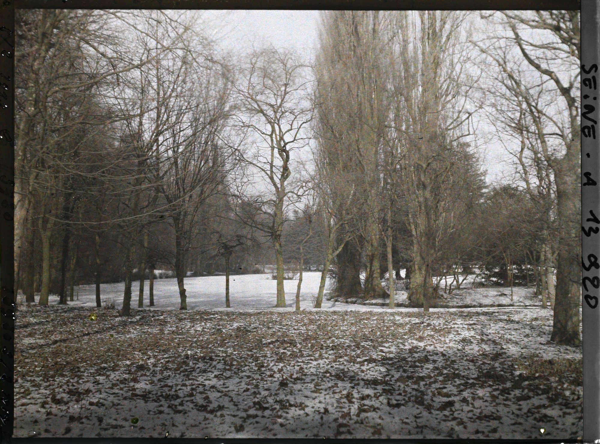 Image représentant Le bois de Boulogne enneigé