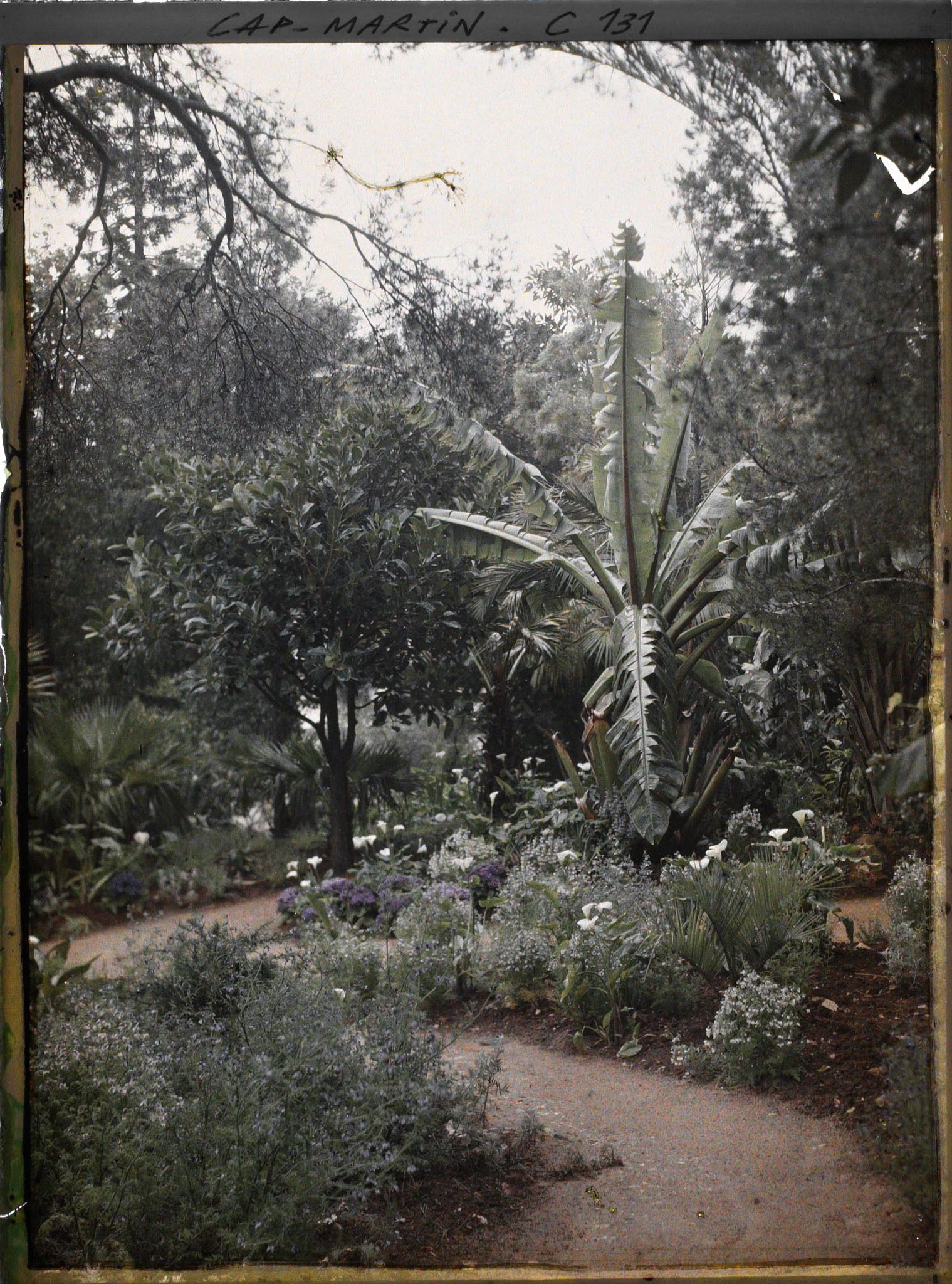 Image représentant Une allée du jardin