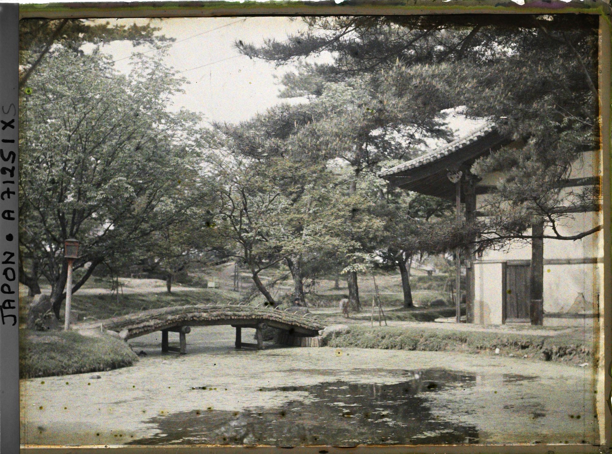 Image représentant jardin