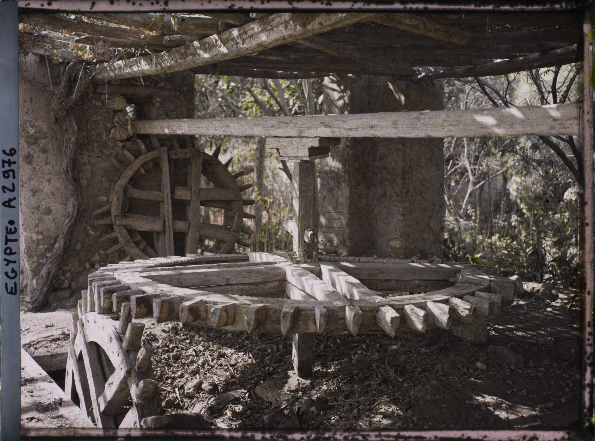 Image représentant Sakiéh en bois sur l'île de Roda