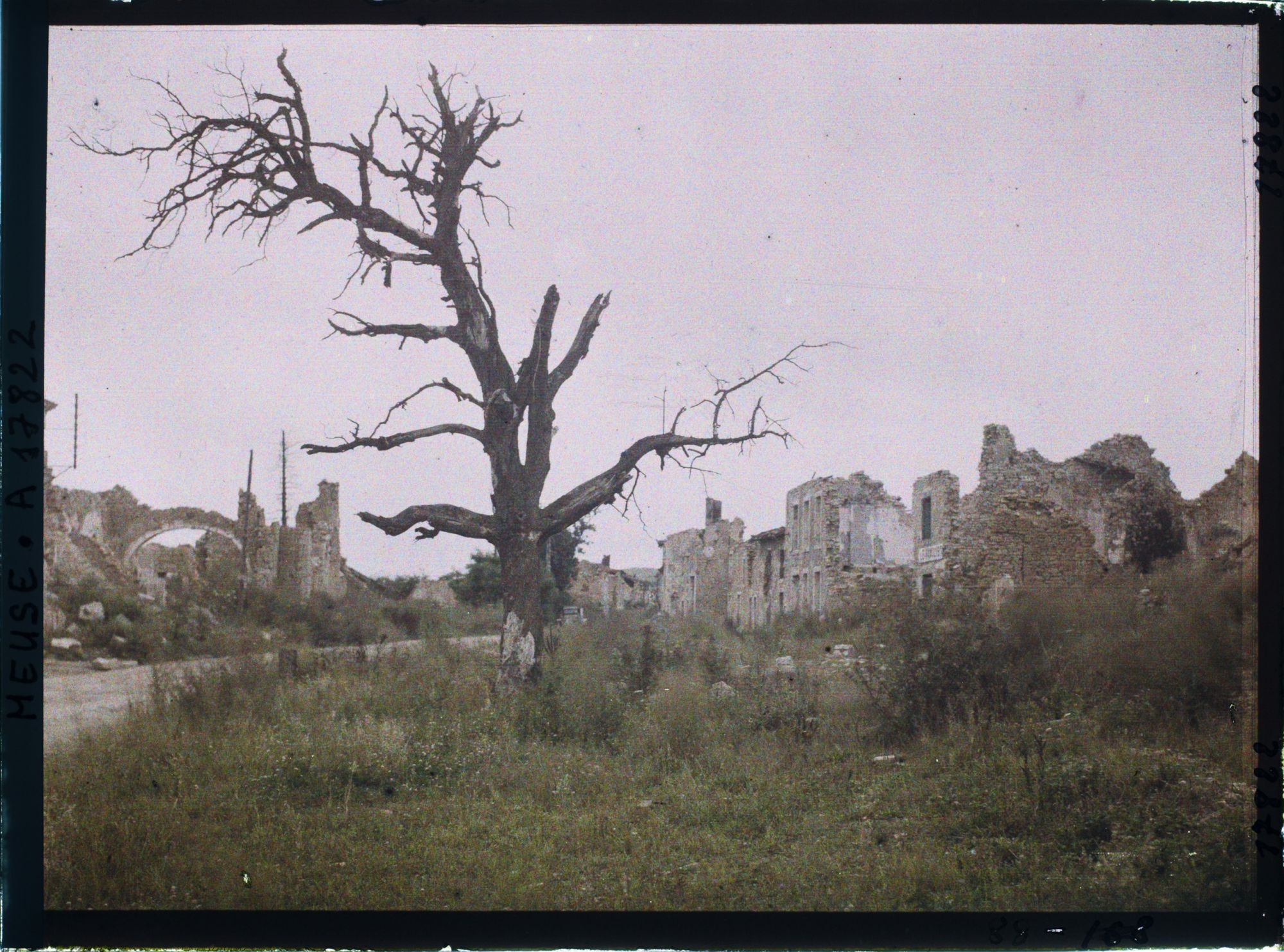 Image représentant France, Haudremont Carrières, Bois près des Carrières d'Haudremont