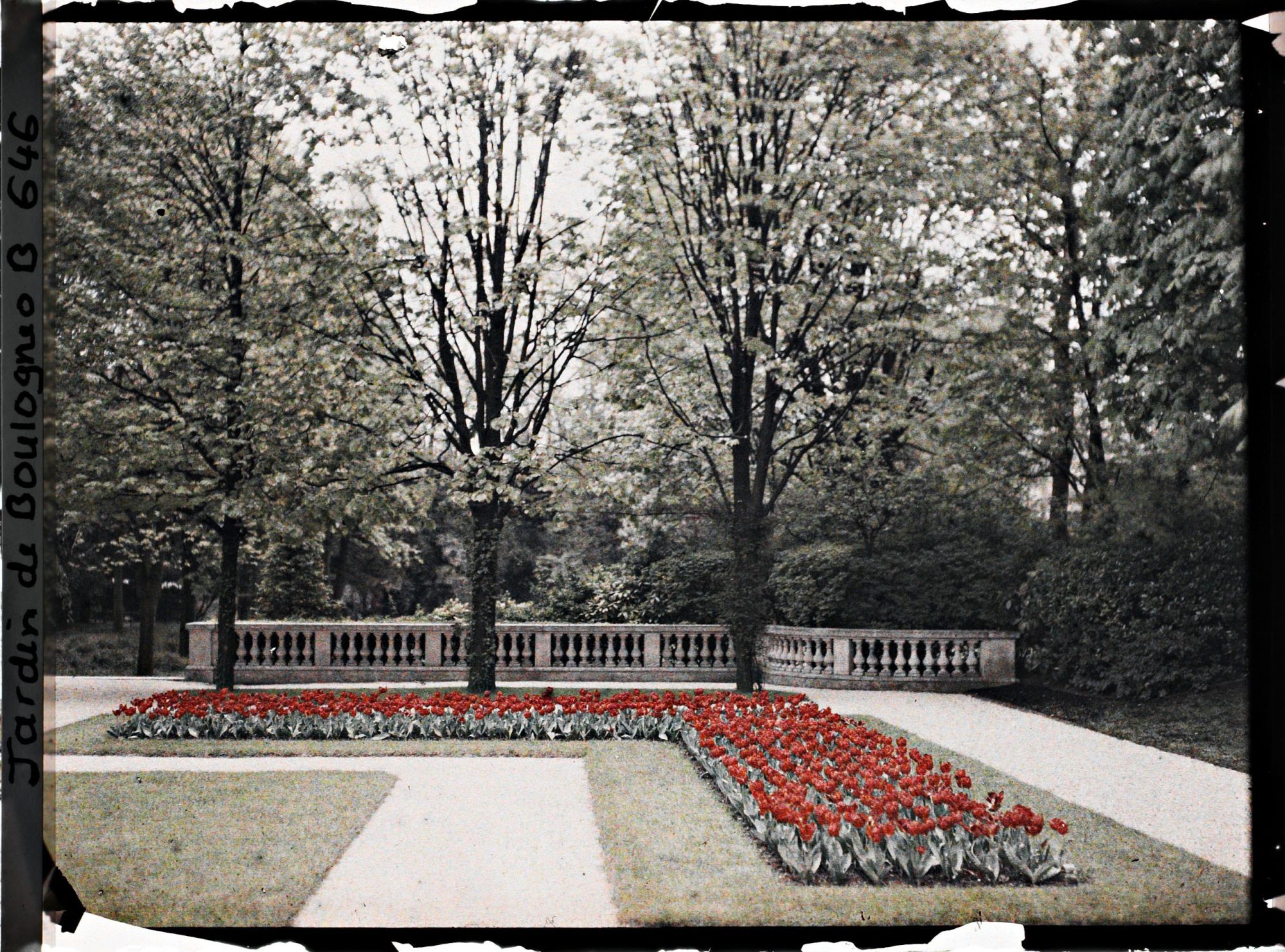 Image représentant Partie sud-est du jardin français, côté jardin anglais