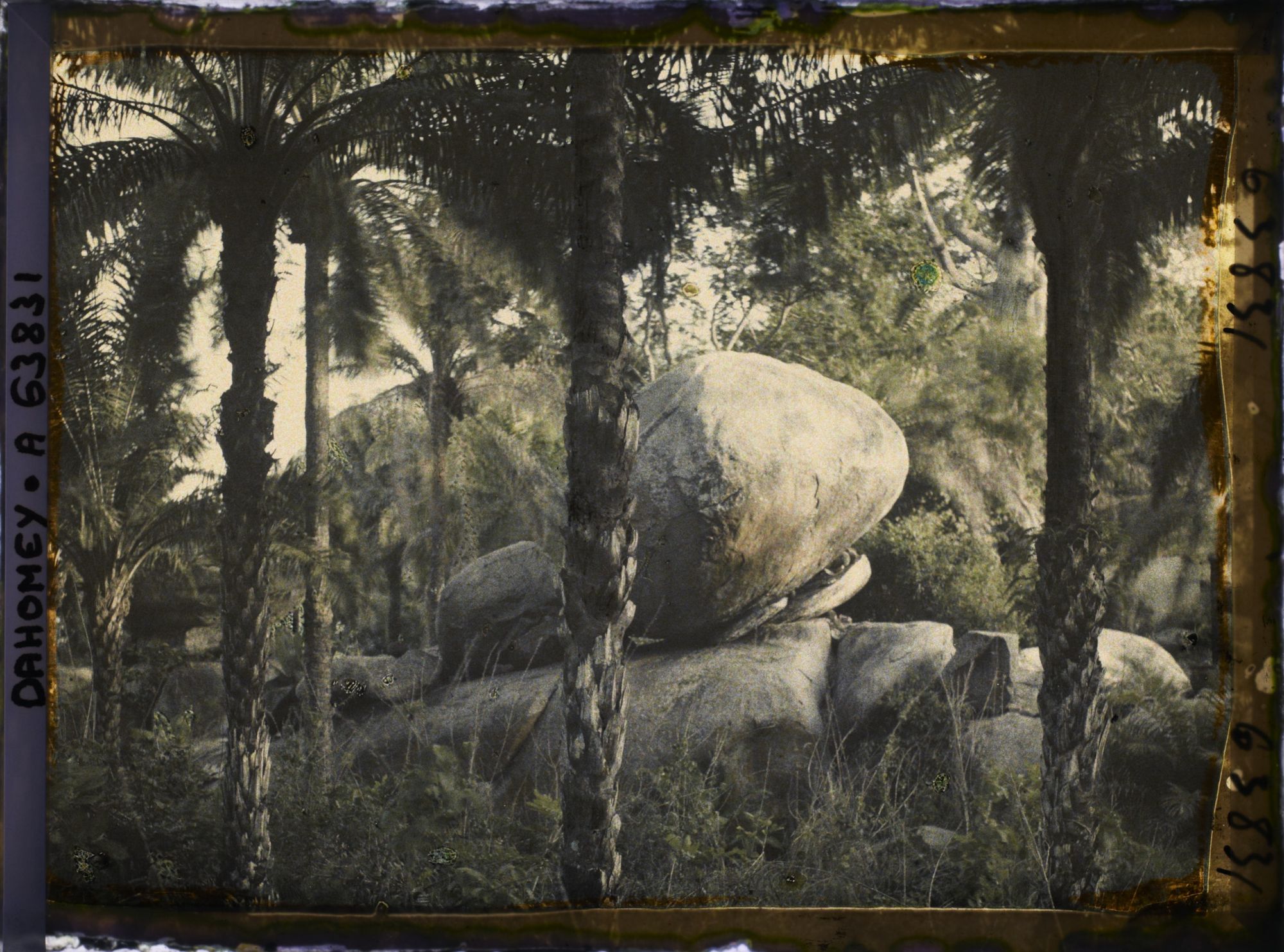 Image représentant Paysage montagneux d'éboulis rocheux