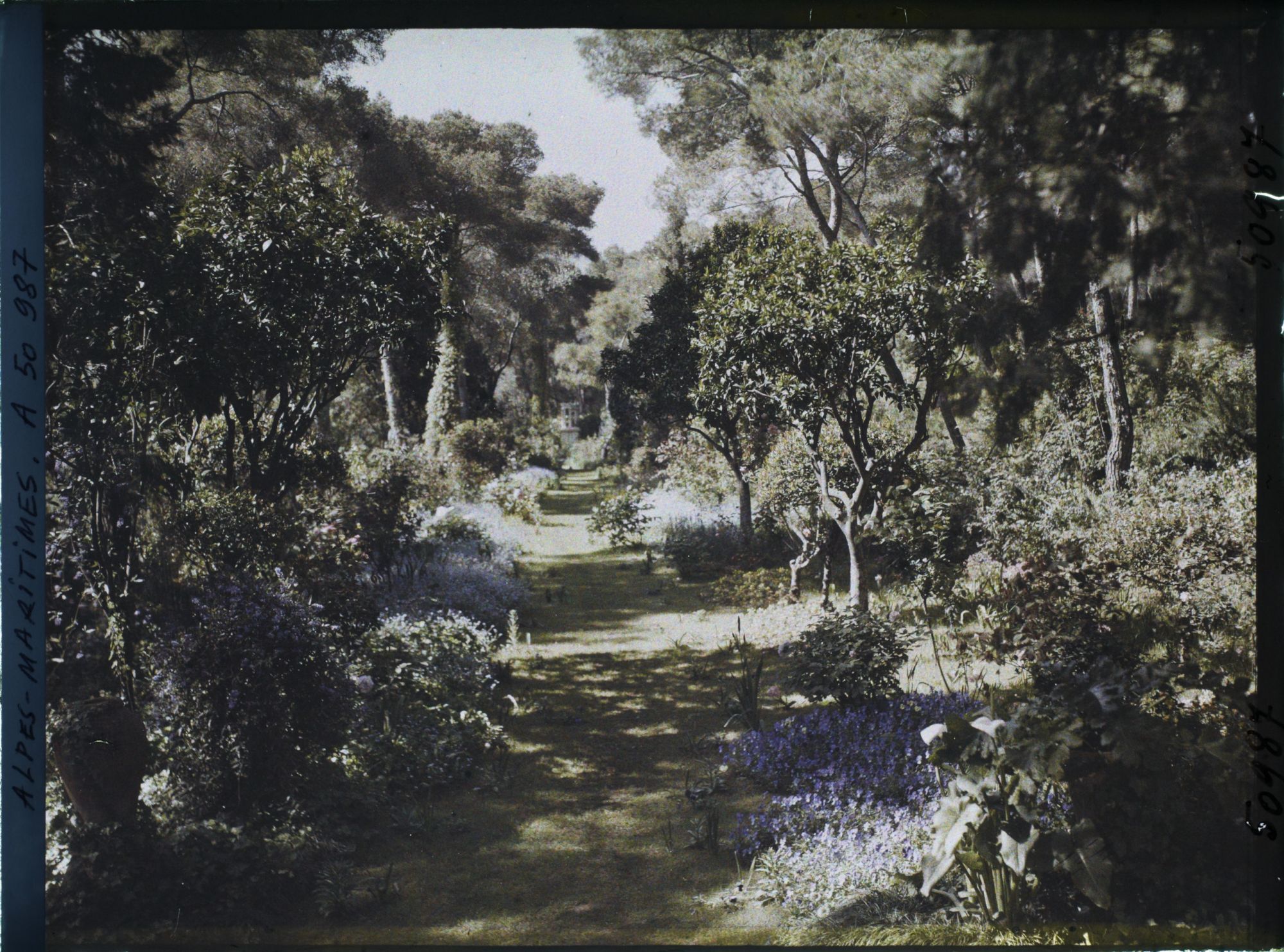 Image représentant Elément construit du jardin de la villa Cypris, au fond d'une allée enherbée et fleurie