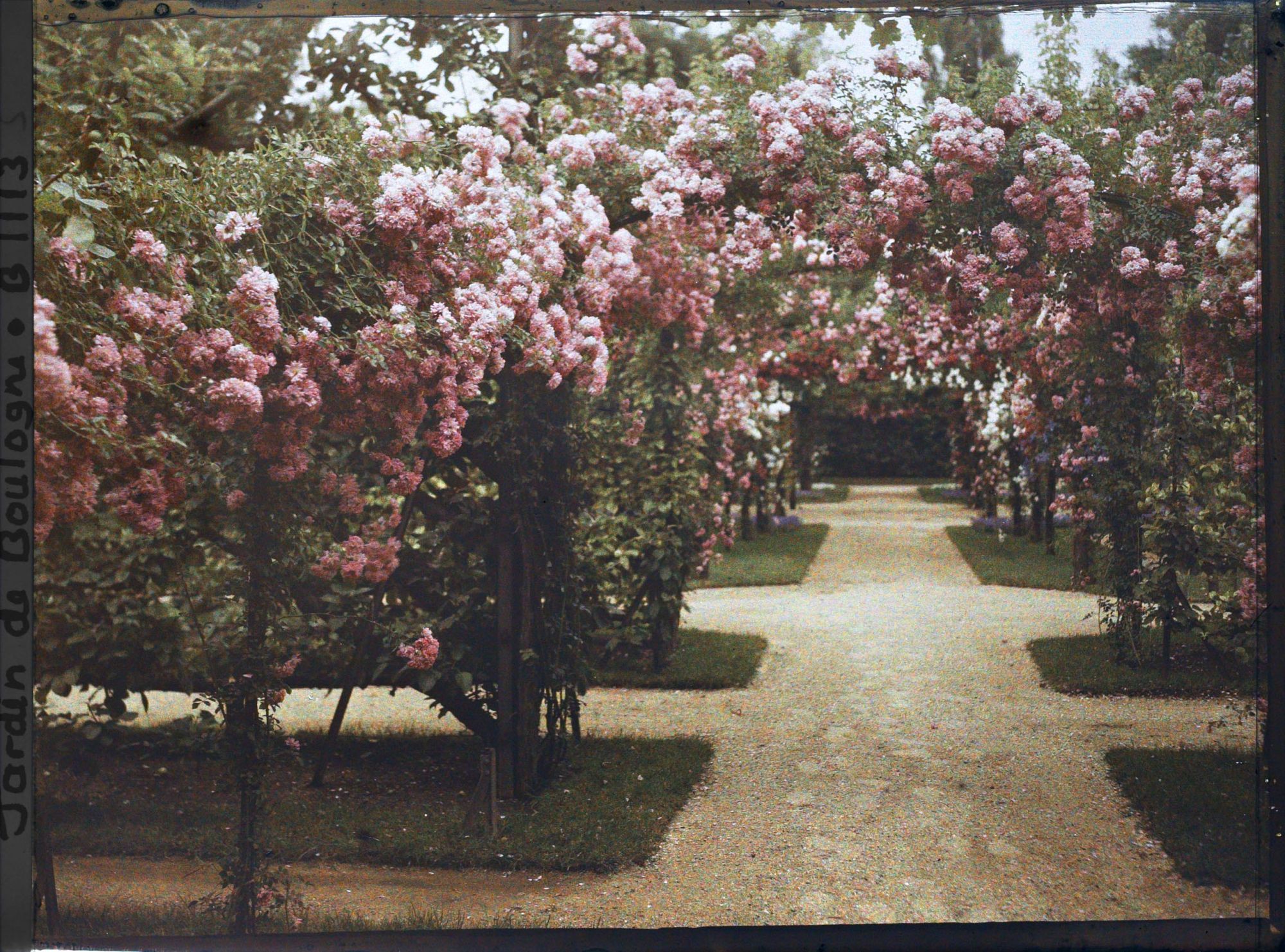 Image représentant Axe central du verger-roseraie vu à mi-parcours, en direction de la dépendance