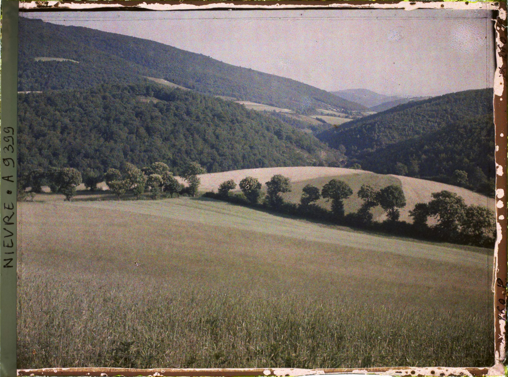 Image représentant La Vallée de La Roche