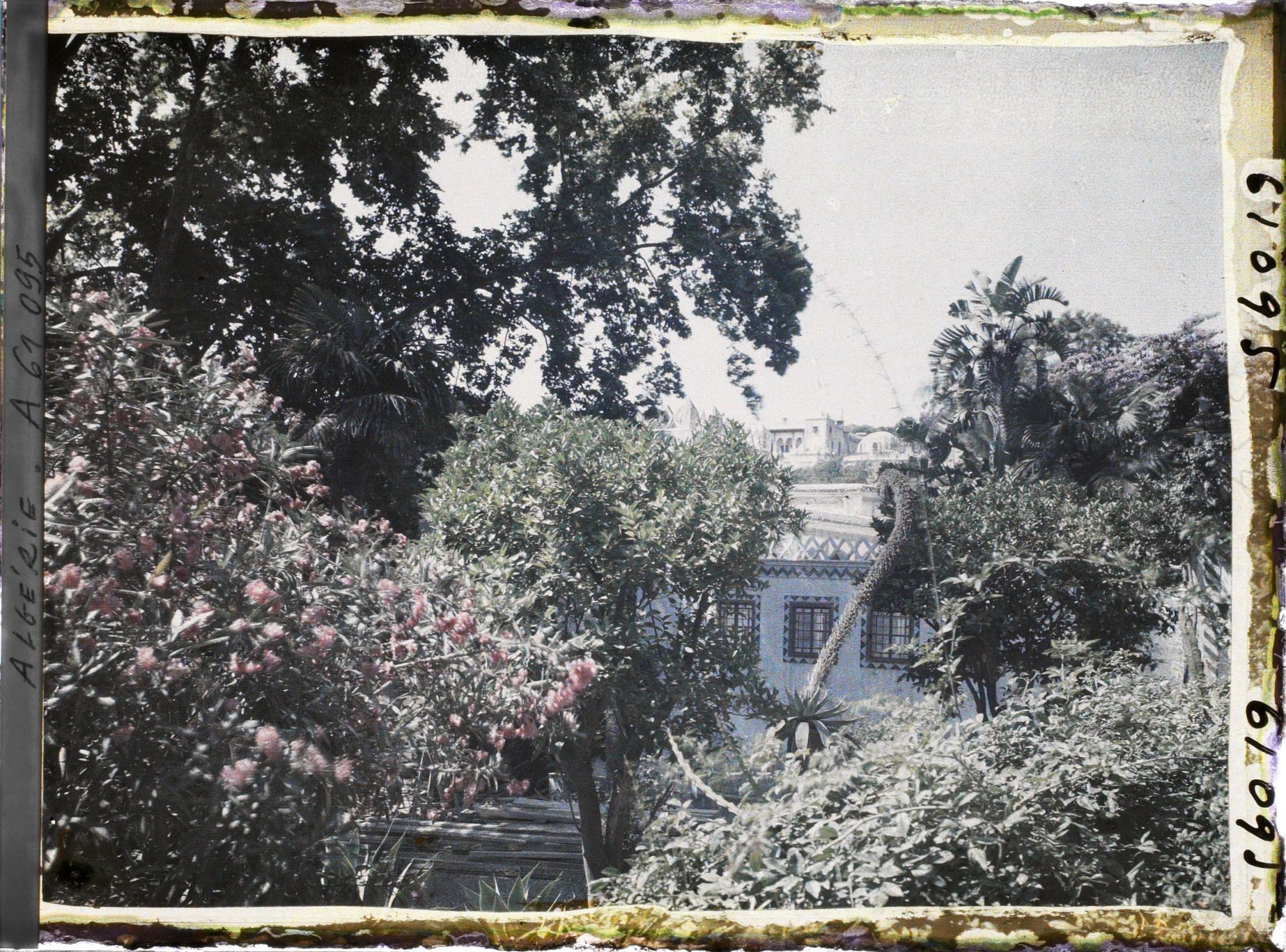 Image représentant Le palais du Bardo, le jardin