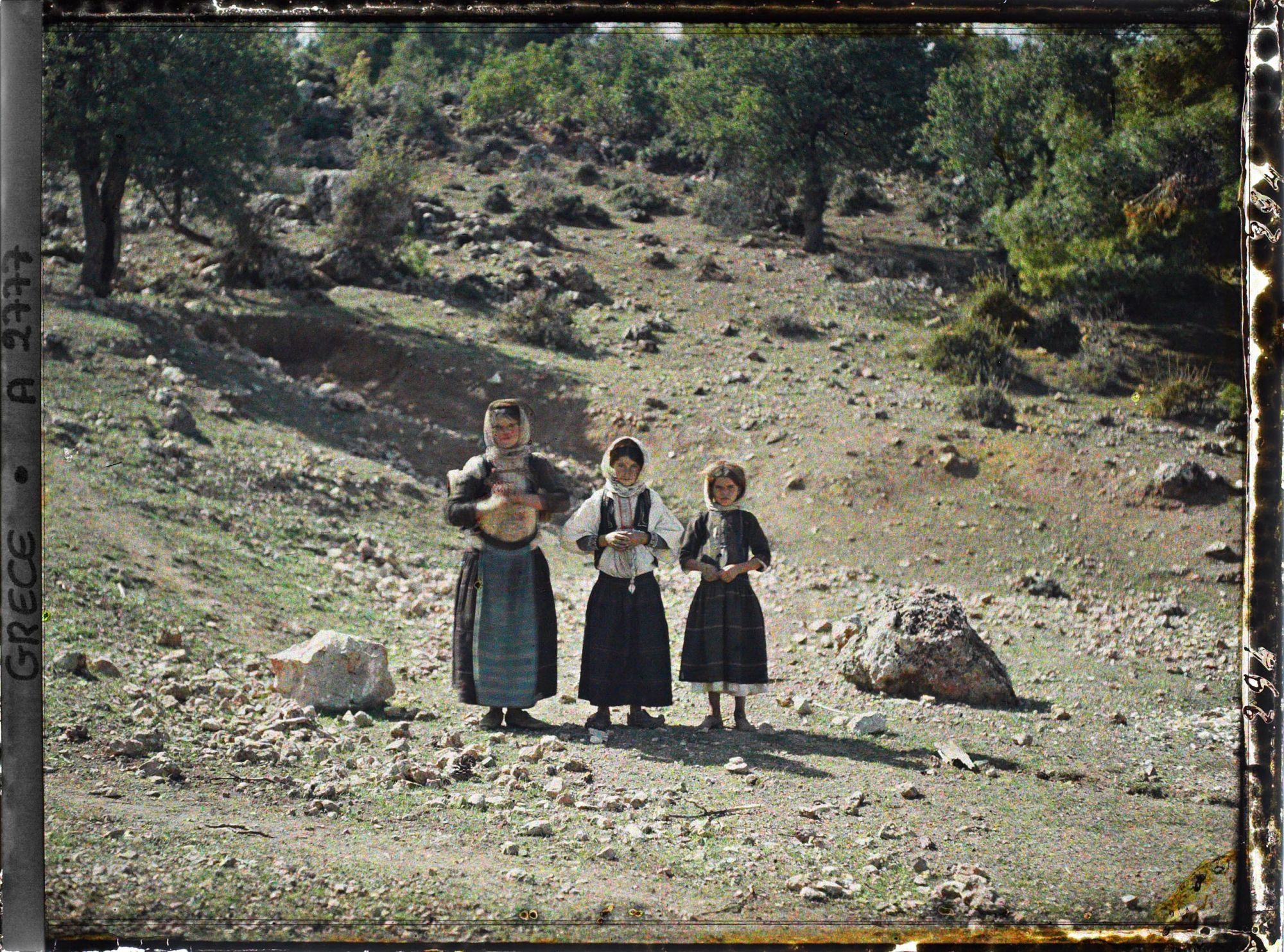 Image représentant Trois petites paysannes (bergères)