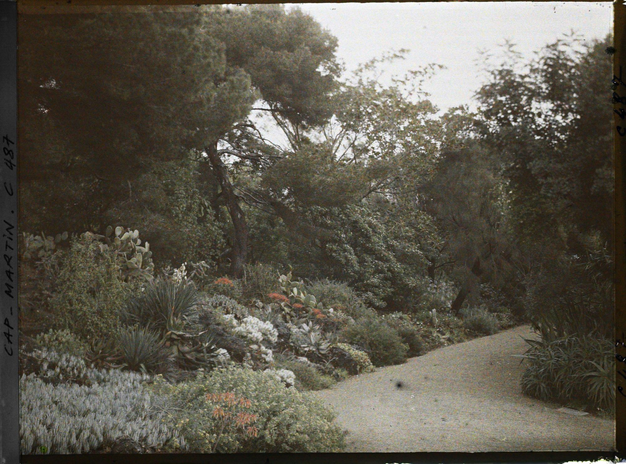Image représentant Cap Martin Le Jardin