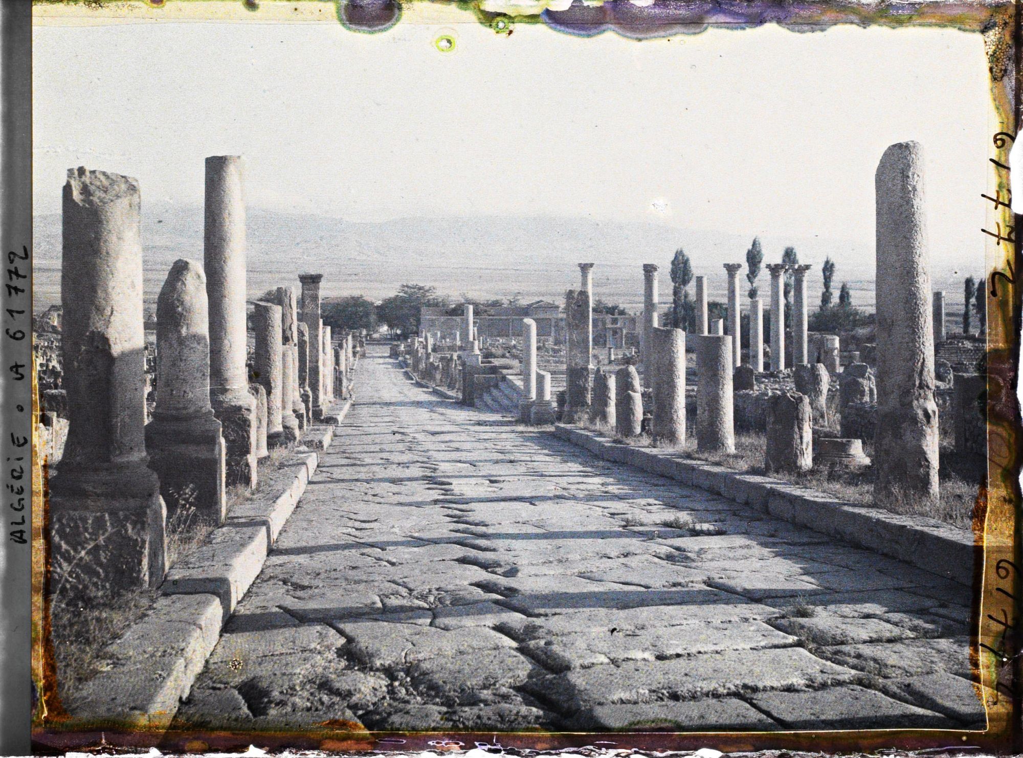Image représentant Algérie, Le Cardo Nord