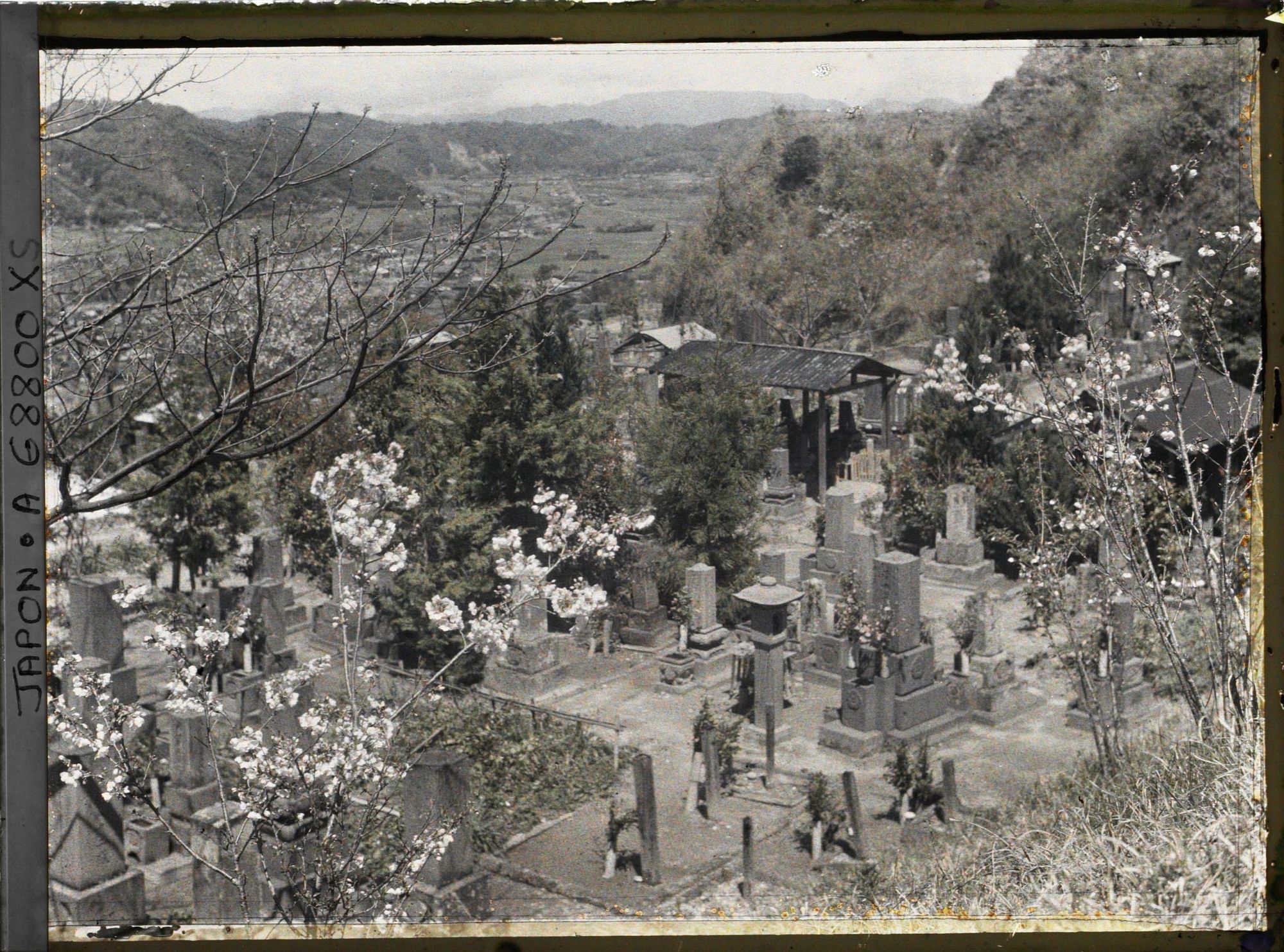 Image représentant Le cimetière (peut-être celui du quartier Kagoshimasômuta) près de la colline Shiroyama