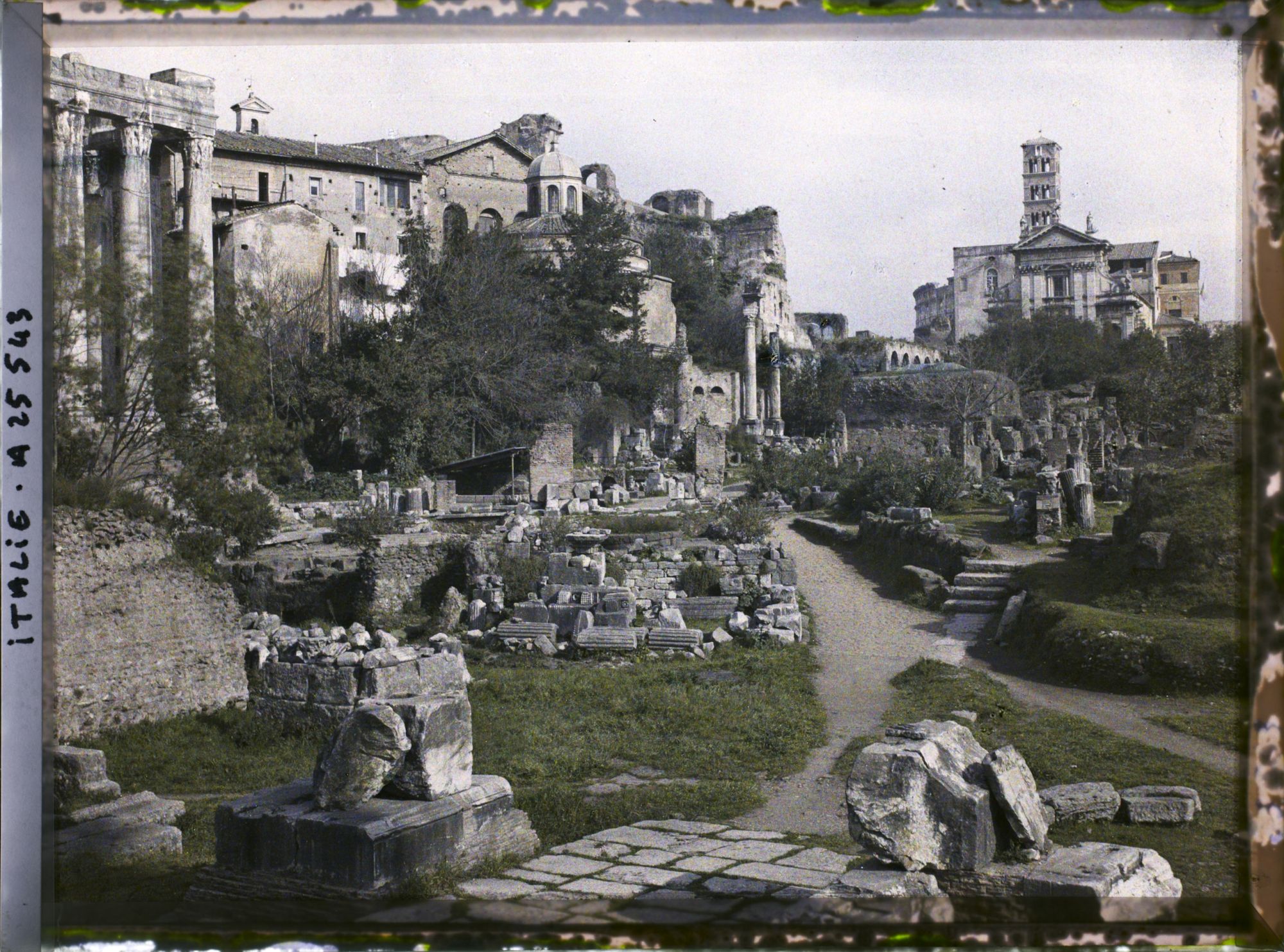 Image représentant Forum romain vue d'ensemble