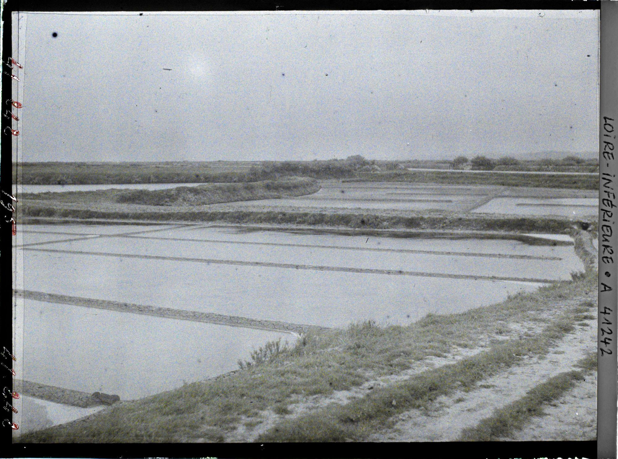 Image représentant Les marais salants