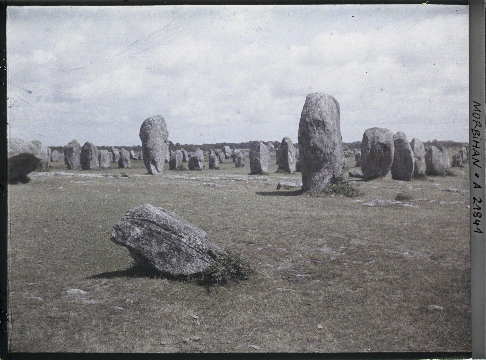 Image représentant Alignements de menhirs