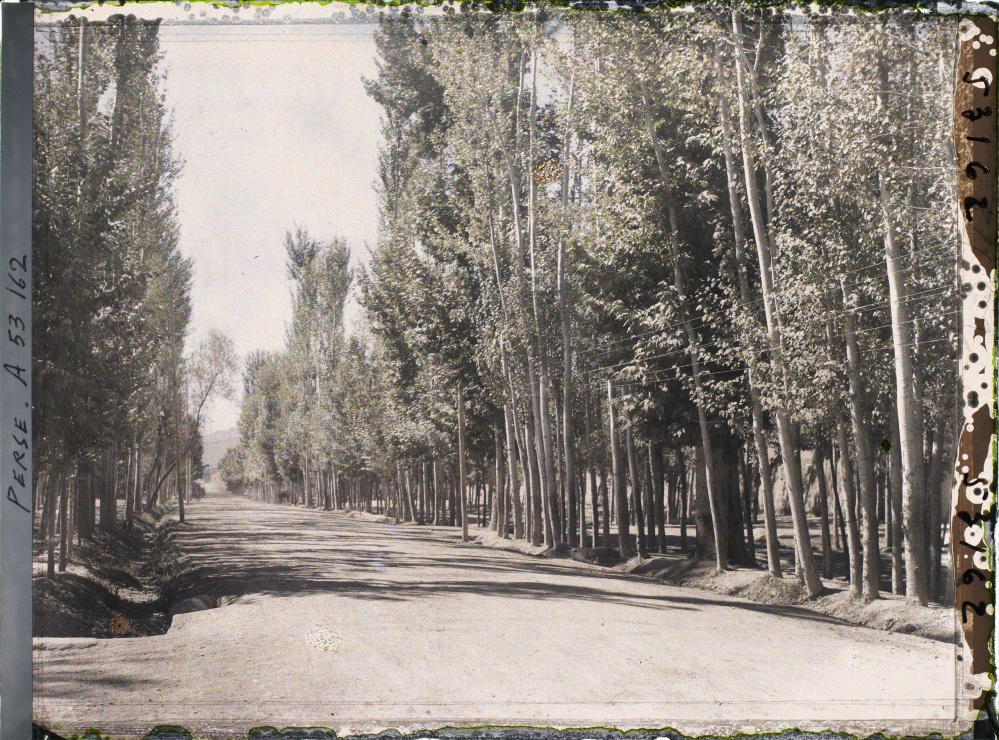 Image représentant L'allée carrossable bordée de platanes du Tchehar Bagh (avenue des Quatre-Jardins)