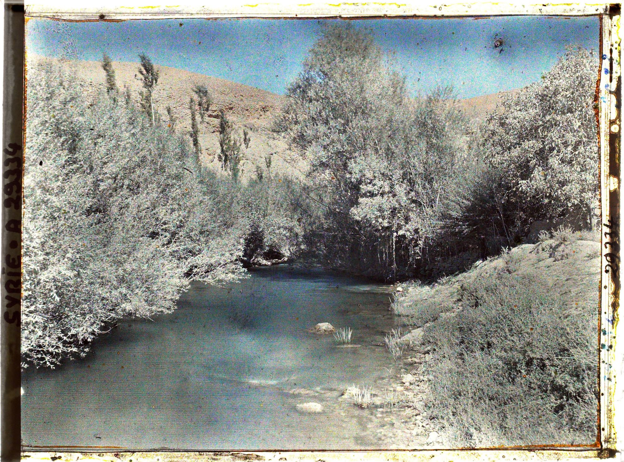 Image représentant Le Nahr Barada baignant la Ghouta de Damas