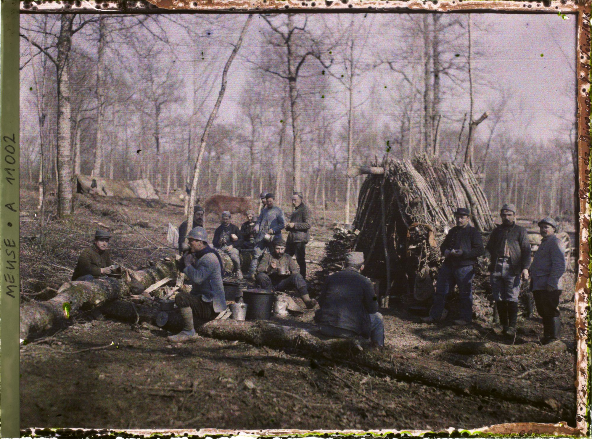 Image représentant France, près Verdun, Bois de Thieville